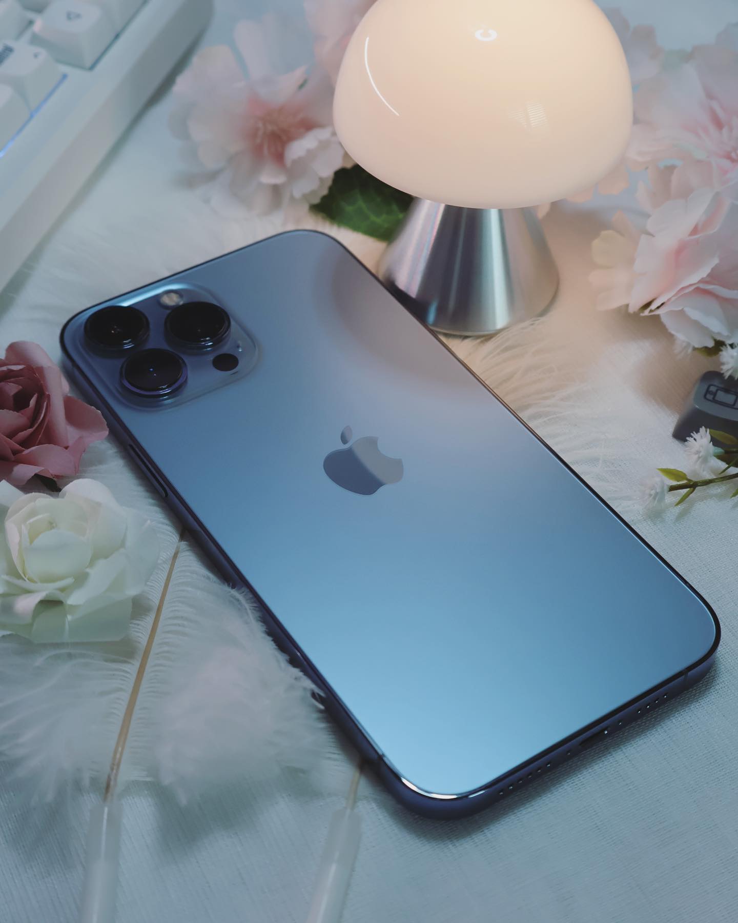 아이폰 시에라 블루
세팅 중 이뻐서 한 장 🥰

.
.
.
#아이폰 #아이폰케이스 #아이폰배경화면 #iphone #꿀팁 #아이폰배경화면 #아이폰배경 #아이패드 #아이패드프로 #아이폰꾸미기 #아이폰사진 #아이폰팁