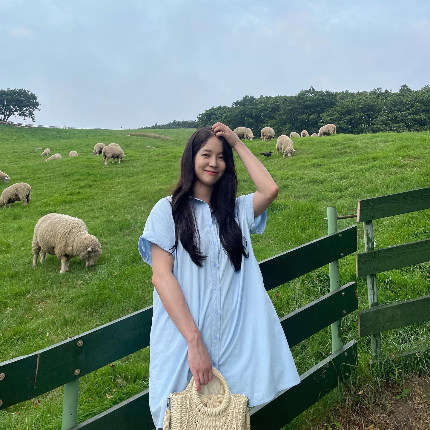 💚🐑
