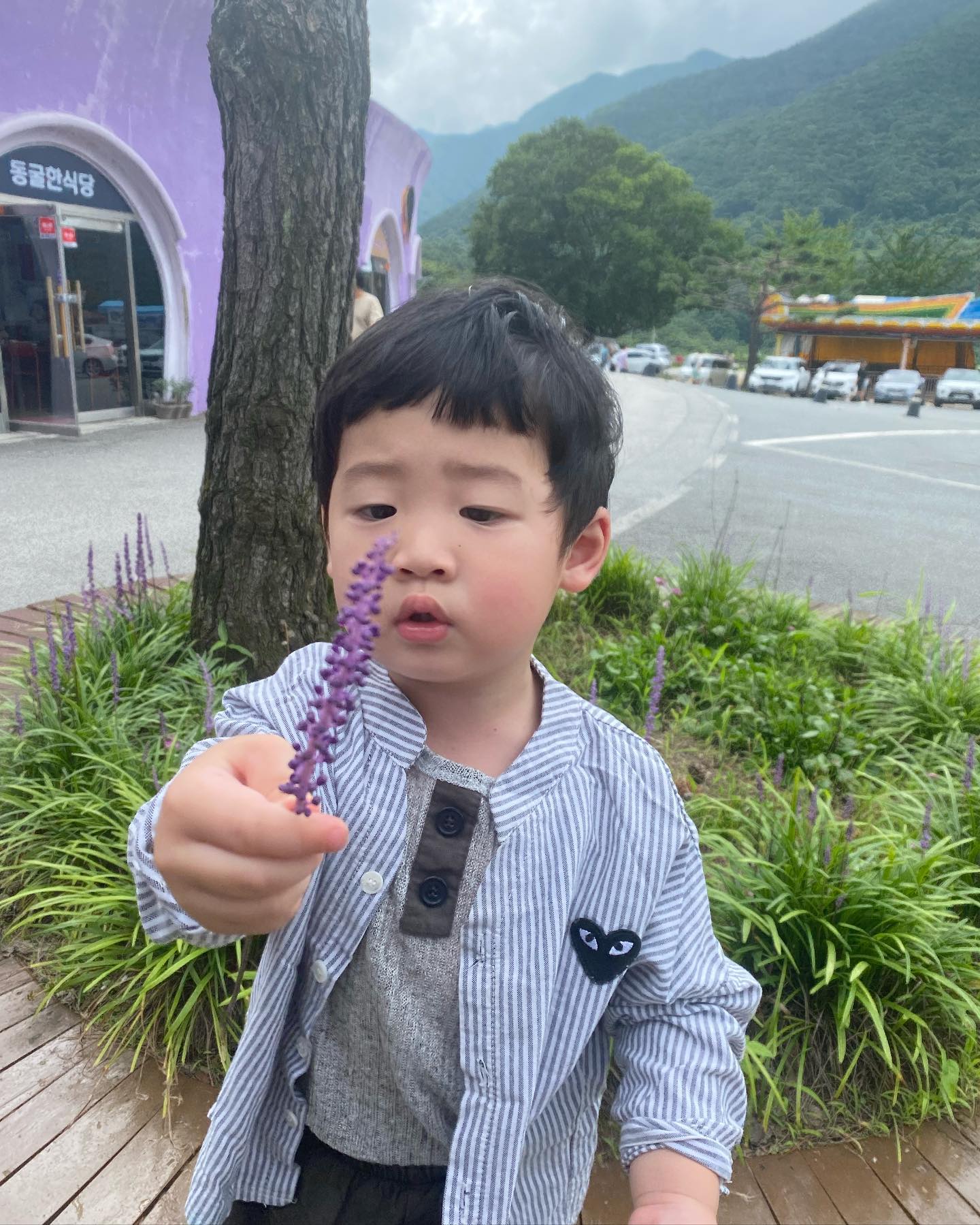언젠가 주말, 자수정 동굴🙌
아직은 공룡이 무서운 2세ㅋㅋㅋ