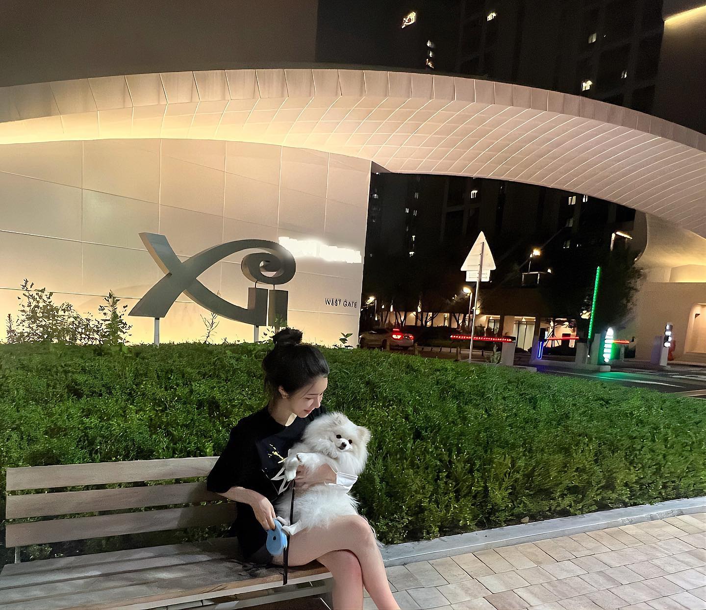 일-집-운동-할리 = 일-집-운동-할리 뒤져버릴거같지만 8월두 화이팅💗