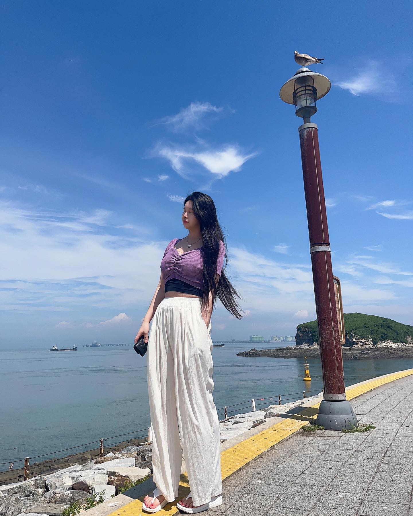 잘있어라 나는간다 똥좀그만싸고 갈매기야 온통 똥밭이네