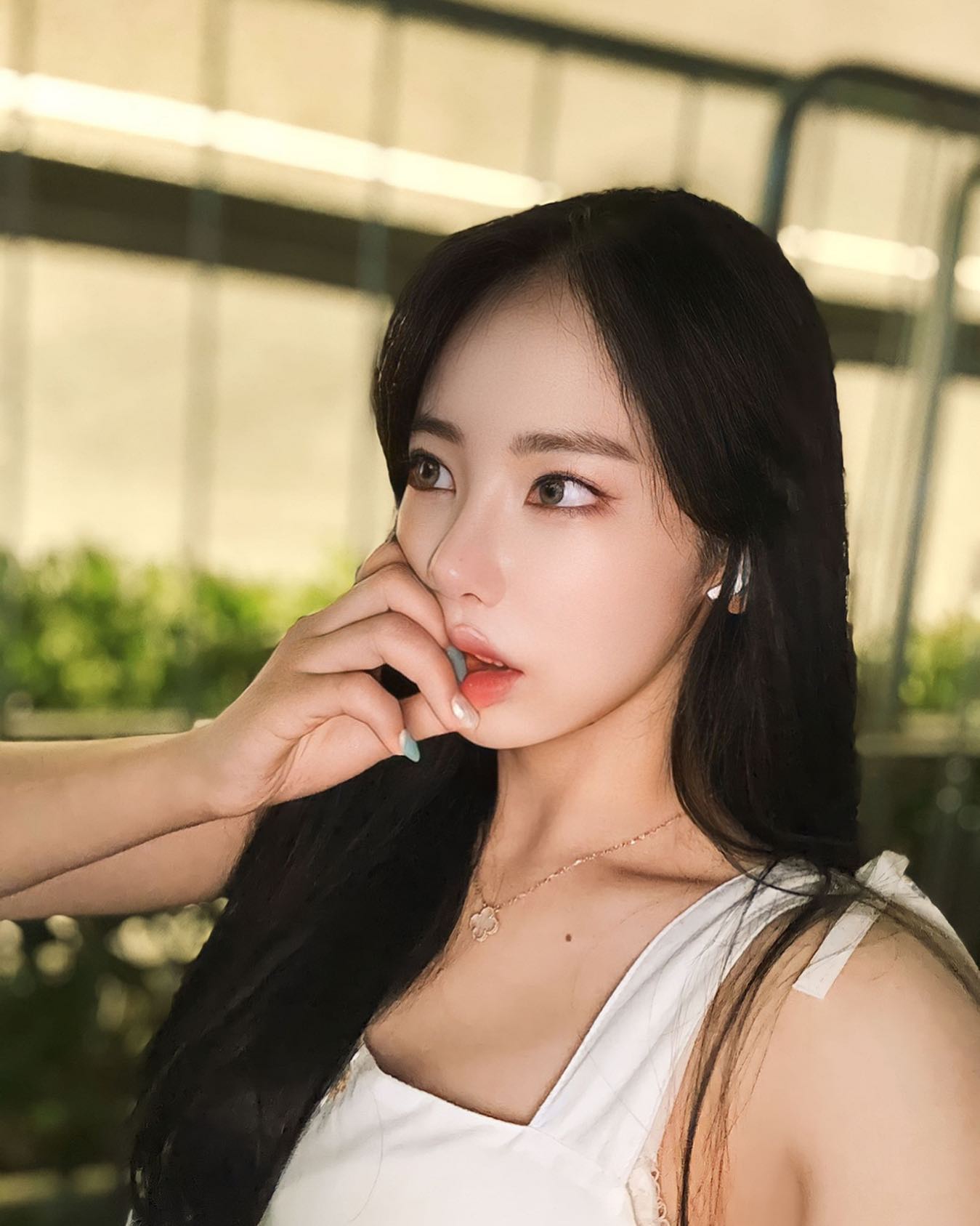 콘텐츠