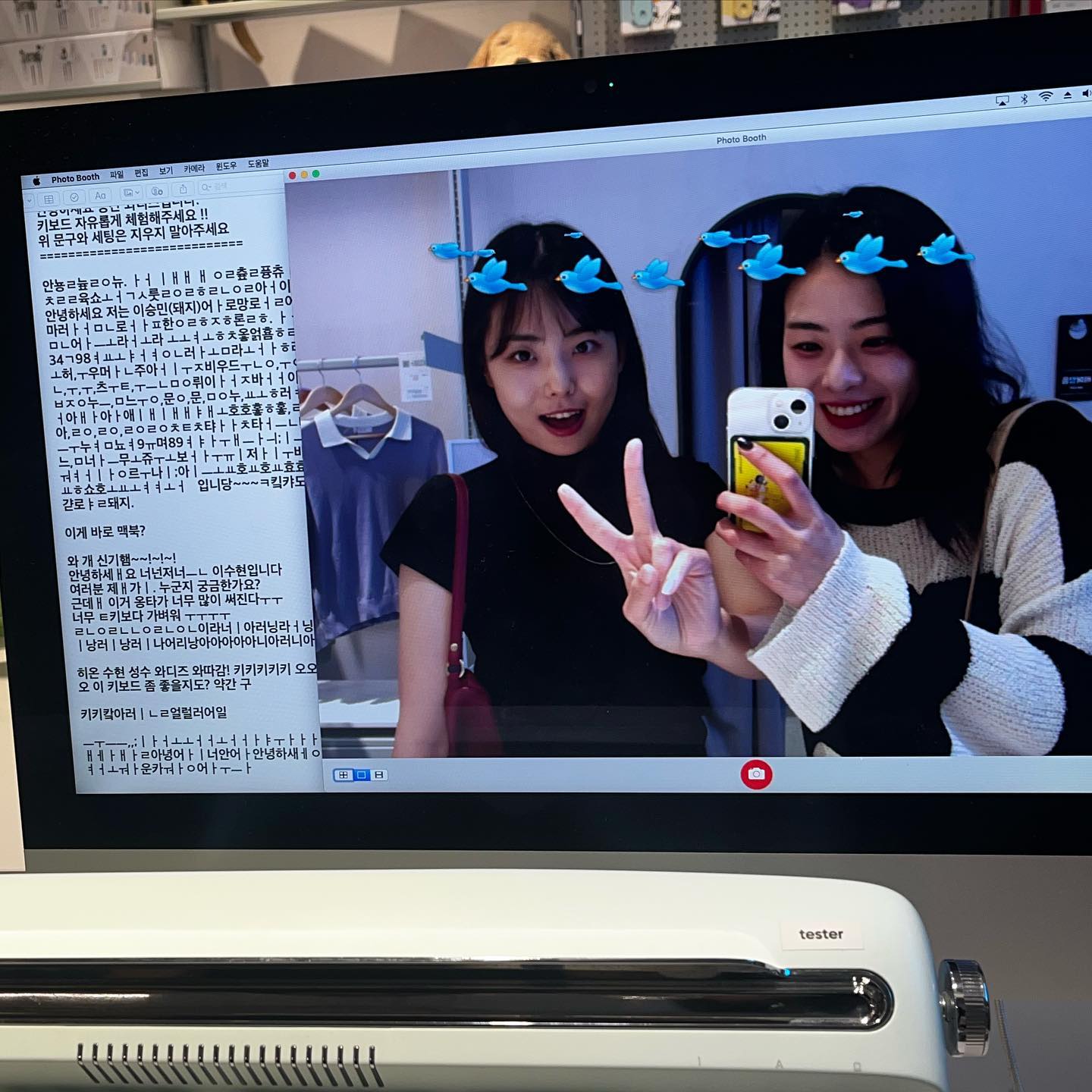 복닥복닥한 여름🍮🍧🏝️