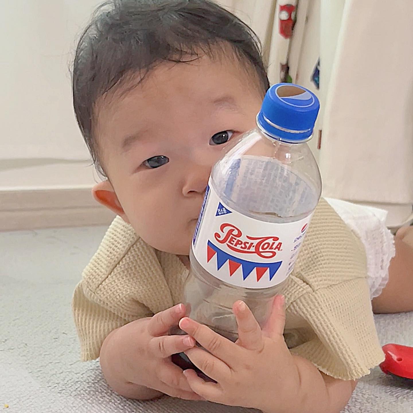 #팹시 와 랑이가 만났다!! 
이것은 우연한 만남이었어요🙈
당떨어진 엄마가 콜라를 벌컥벌컥 
마시다가 엄마와 딱 저눈으로 눈이 마주친 랑 
콜라는 줄수 없지만 뚜껑을 닫아서 줄수는 있지😎 

어떻게 하는지 반응을 보려 냉큼 주었는데 
뭐가 그리 소중한짘ㅋㅋㅋ ❤️
꼭껴앉고 뒹굴어서 한번 더보고 나오지도 않는데 
입구 쪽쪽해보고 콜라병 하나로 야무지게 놀았답니다~

상황 : 맘마 먹고 난 후

팹시 모델을 시켜 달라고 하기엔 
ㅎㄷ ㄷ ㄷ 하지 🙈 조용히 엄마 모델만 하는걸로 🙇🏻‍♀️