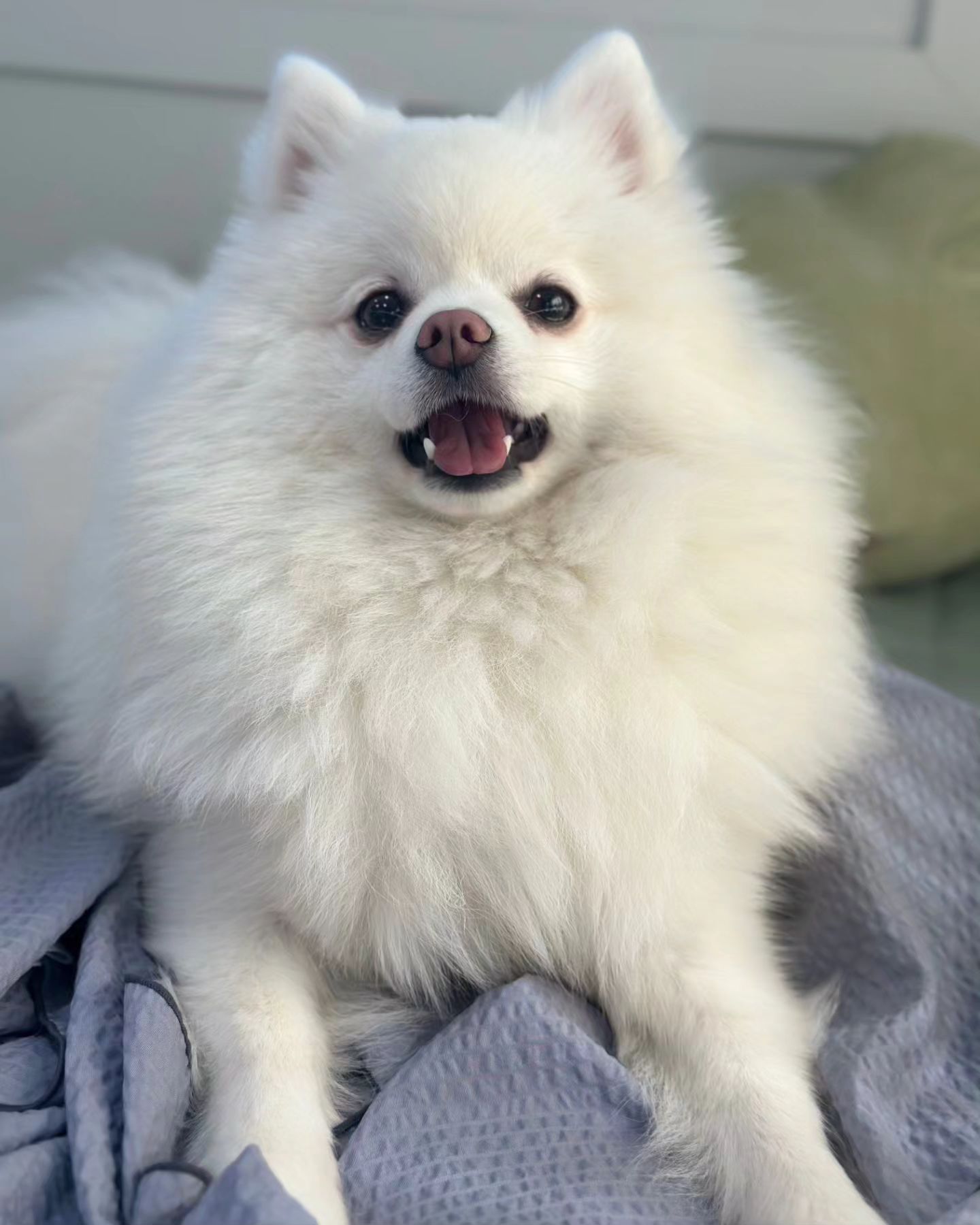 뀨💕