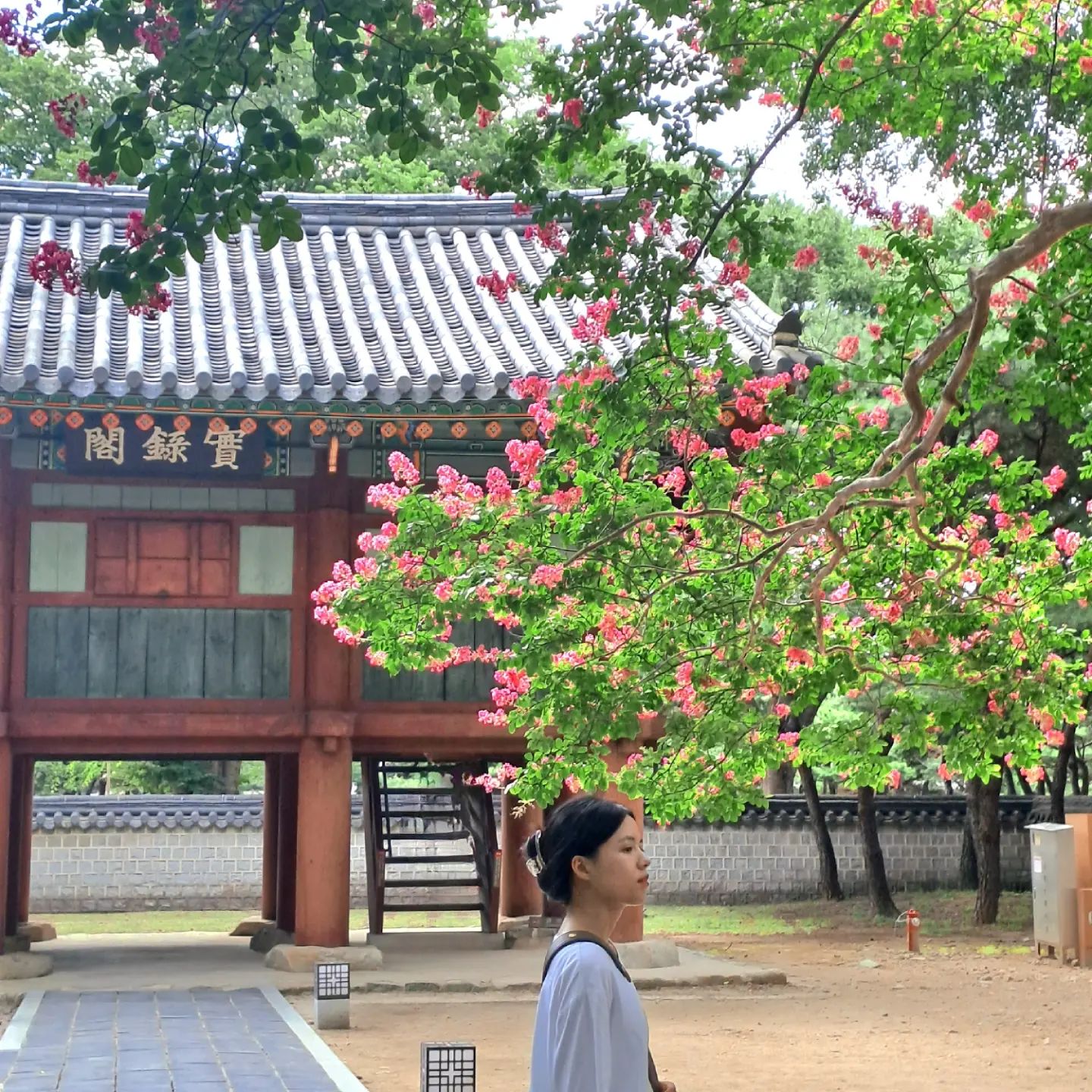 #전주한옥마을 #경기전 #한옥 #날씨 #더워💦