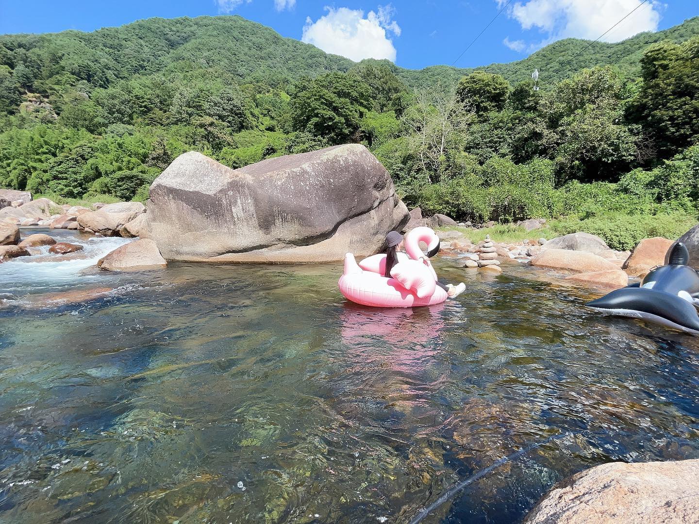 콘텐츠