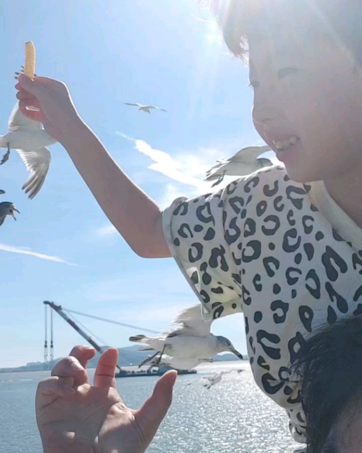 인천 할아버지댁에 갔다가 월미도 나들이~!!
라온이 덕에 유람선을 탔는데
땡볕에 갈매기 밥을 줘야하는
아들래미덕에 편안하고 시원한 선실을
누리지 못하고 
유람선투어인지 갈매기밥주기 투어인지....ㅜㅠ
뜨거운 태양에 달궈진 놀이기구를
꼭 타야하는 녀석의 고집에 우리부부는 빨갛게
익어왔다......
너만 즐겁다면야.......에효

#주말나들이#월미도나들이#유람선투어#갈매기#놀이기구#열사병주의#주말일상#육아일상#힘들다