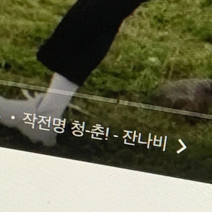 콘텐츠