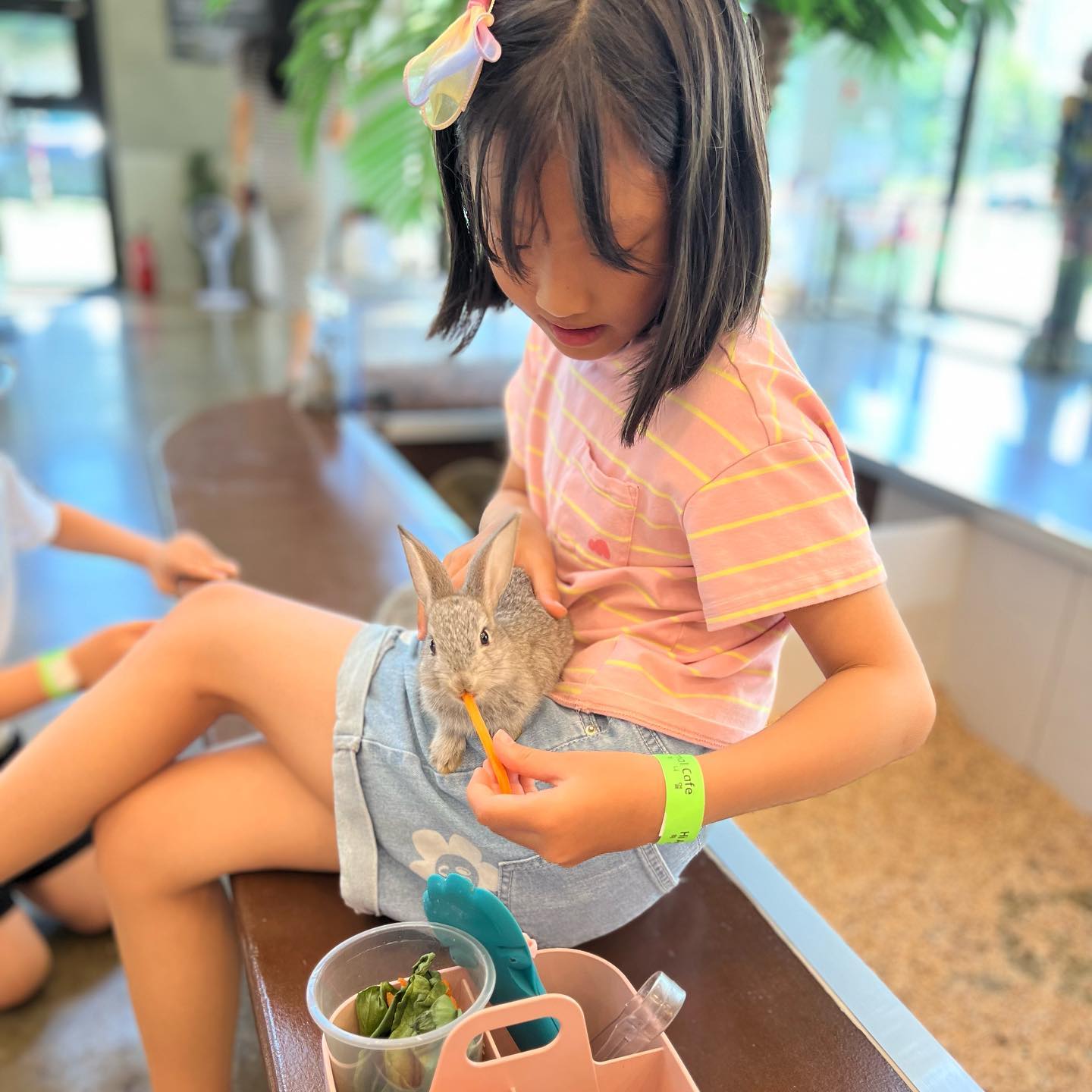 우리 서하 너무 좋아 난리났던 실내동물카페 hi_animal_cafe  땀 한 방울 안 흘리고 폭염에 두시간 신나게 놀고 나오기 싫다 징징댐🙃.