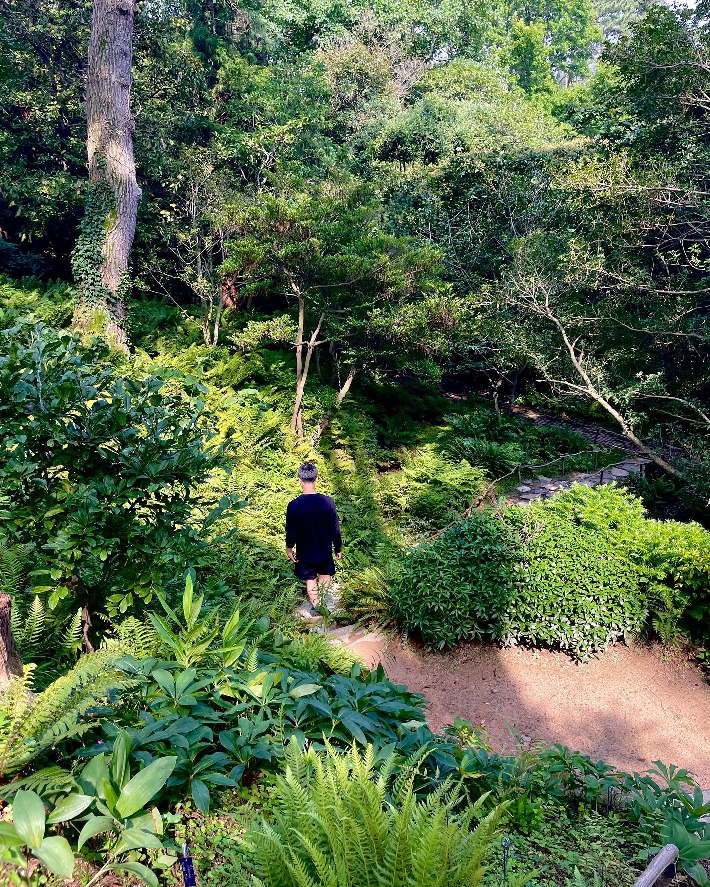 태안당일치기여행🌿양치식물천국이어서 신났던 식물척척박사님 fernfishfern 
.
.
.
.
.
.
.

#태안 #천리포수목원 #당일치기 #여행 #식물 #수목원 #맛집 #일상기록 #여행스타그램 #뷰맛집 #일상 #데일리 #daily #카페