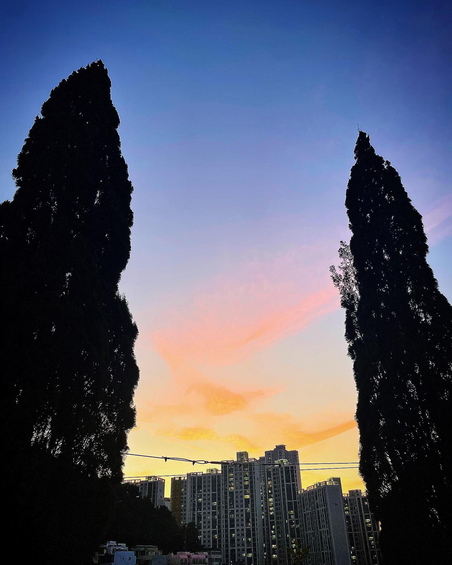 오후6시 부산