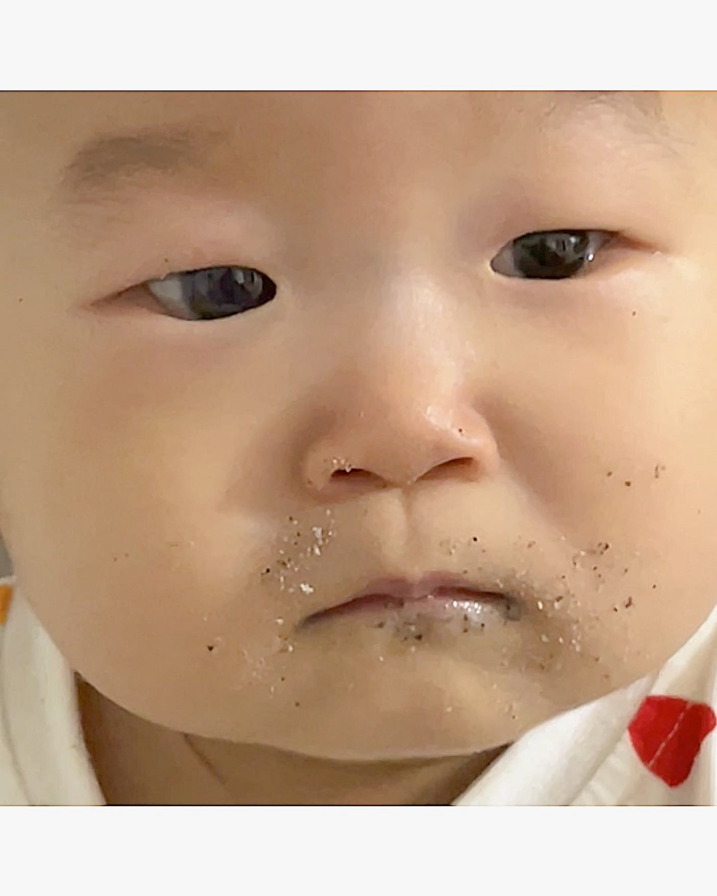 돌아온 랑감자 
확대컷 사랑이야 .. 엄마 최애 
랑이는 도리도리 안해요.. 
하면 정말이지 앙하고 베어 물수도😁

히히 한번만 해주ㅠ 
사진은 어제지만 너무 귀엽다 너.. 😩💙