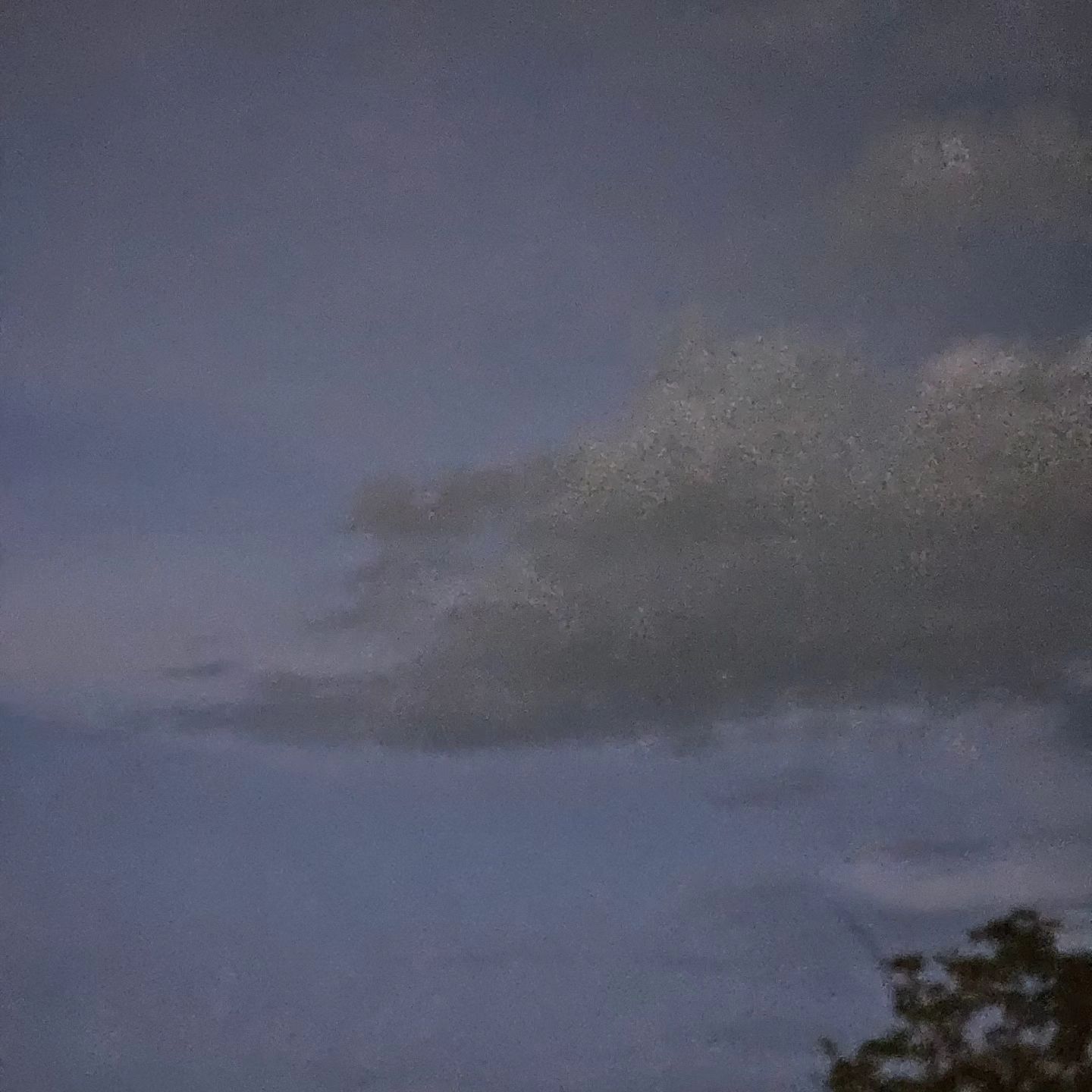 🌫
요 며칠사이 퇴근길 하늘이 계속 이상했어요.
처음에는 "음 갑자기 디스토피아 영화에 들어온 것만 같군!" 하고만 생각했어요.
하지만 매일 적란운이 하늘을 빼곡히 채우는 것을 보고 대기가 불안정하다는 것을 실감했습니다.

내일 태풍이 상륙한다는데, 아무쪼록 모두에게 무탈하게 지나가기를 바라요. 할머니께도 안부전화를 드려봐야겠네요. 다들 조심하세요!