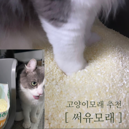 써유모래 오렌지/보라/믹스 핑크 비교 전부 다 써본 후기