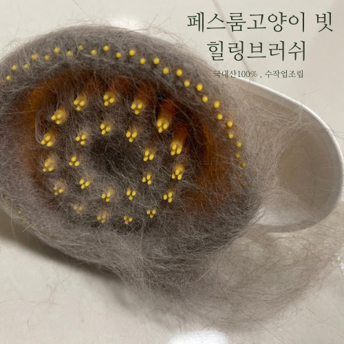 고양이 빗 페스룸힐링브러쉬