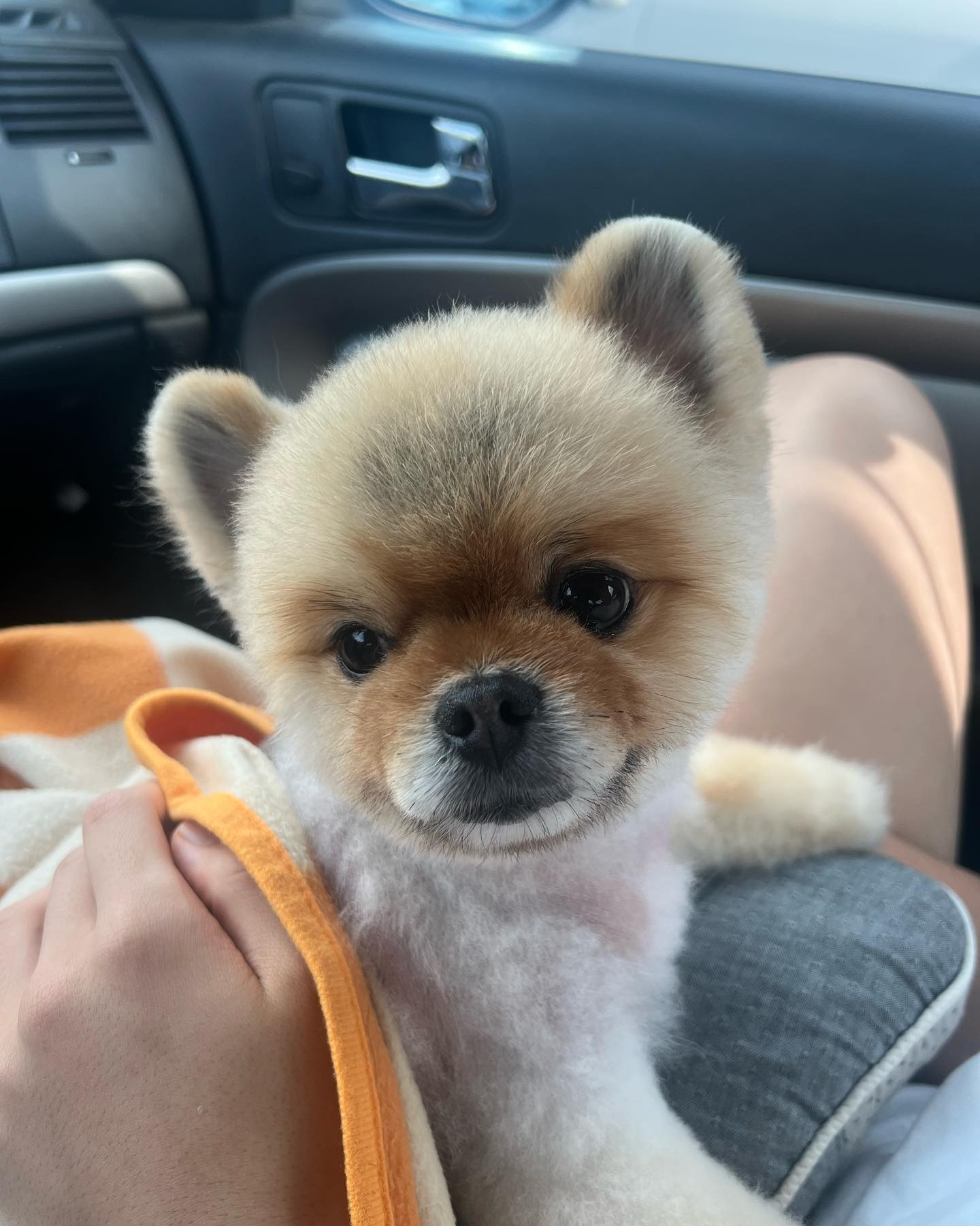 나 이발 했었져✌️