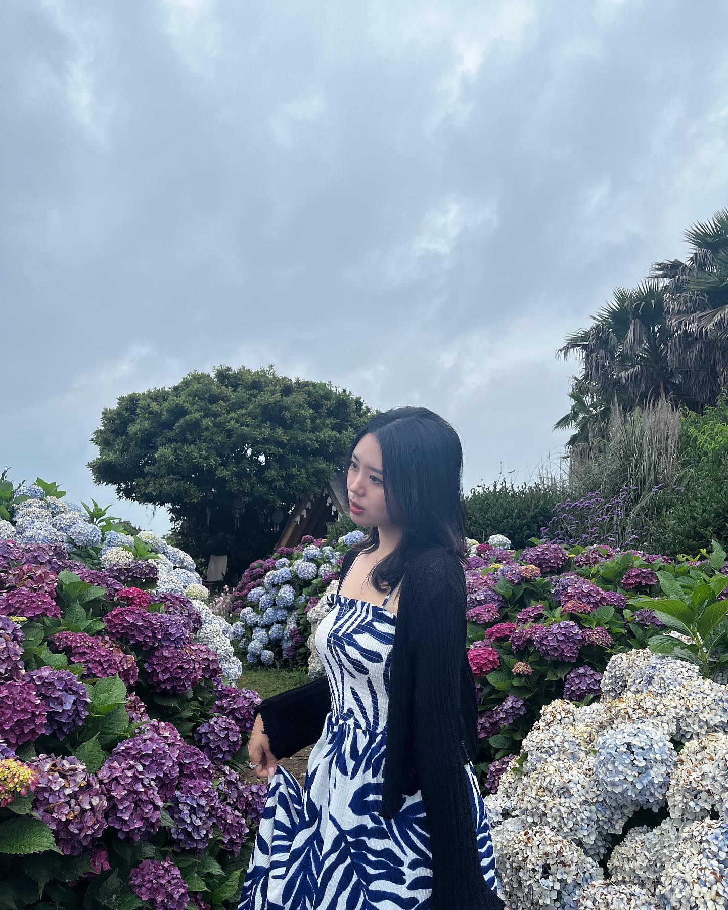 ☁️🍃🌸💭🦋