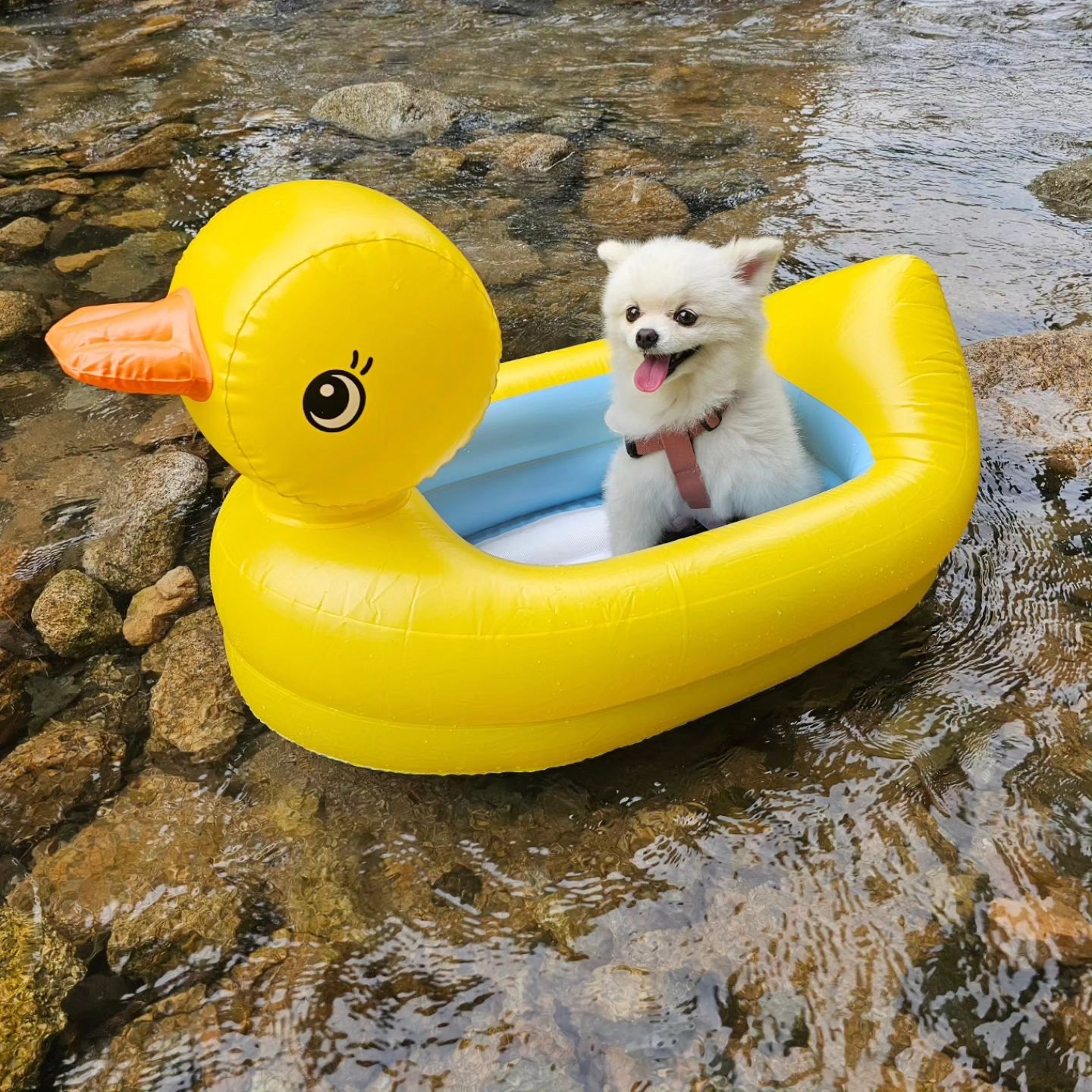 무서워서 어쩔줄 모르개
#계곡에서오리보트타기 #오리보트🐥