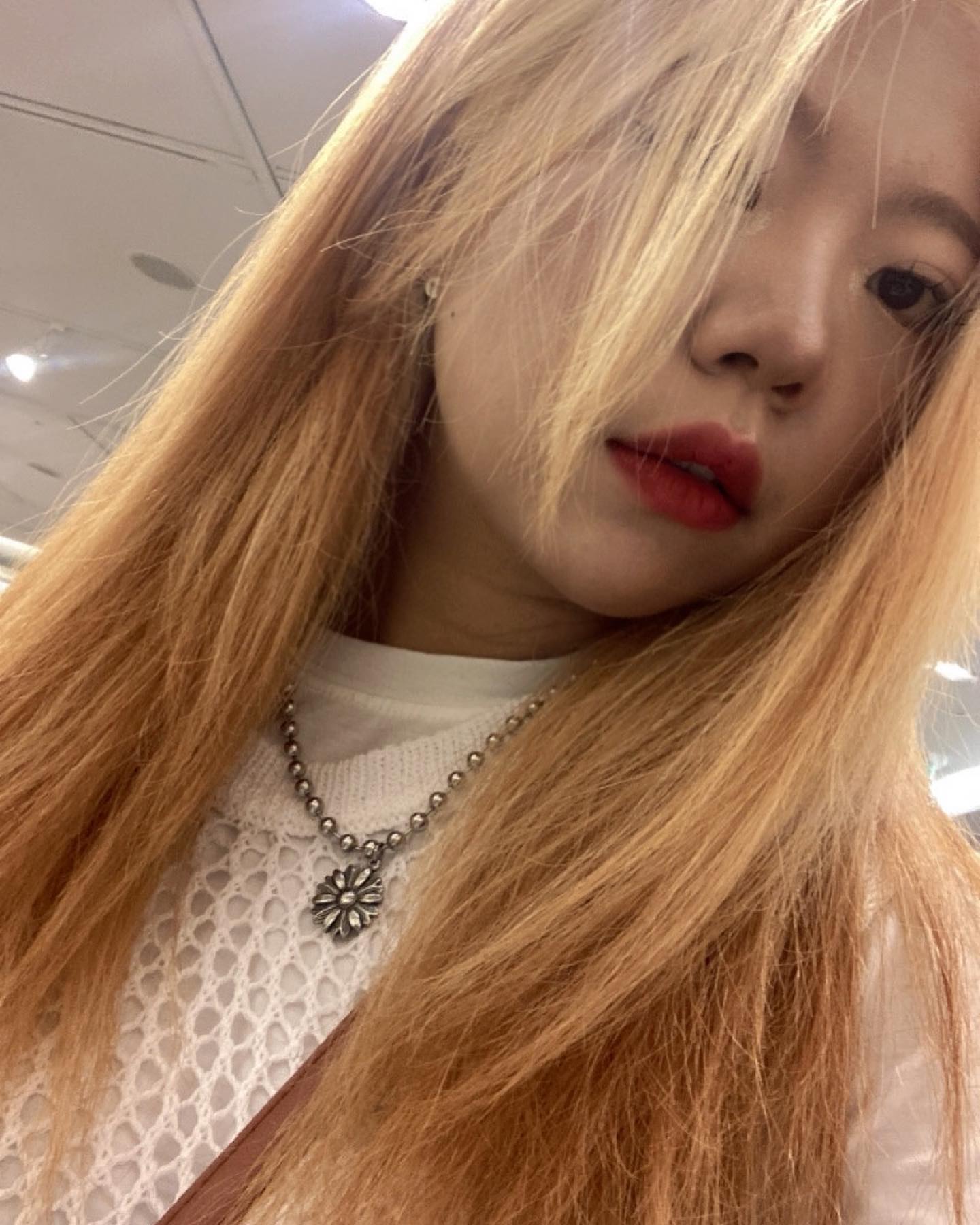 쓸 말은 없지만 사진을 올리겠다는 의지