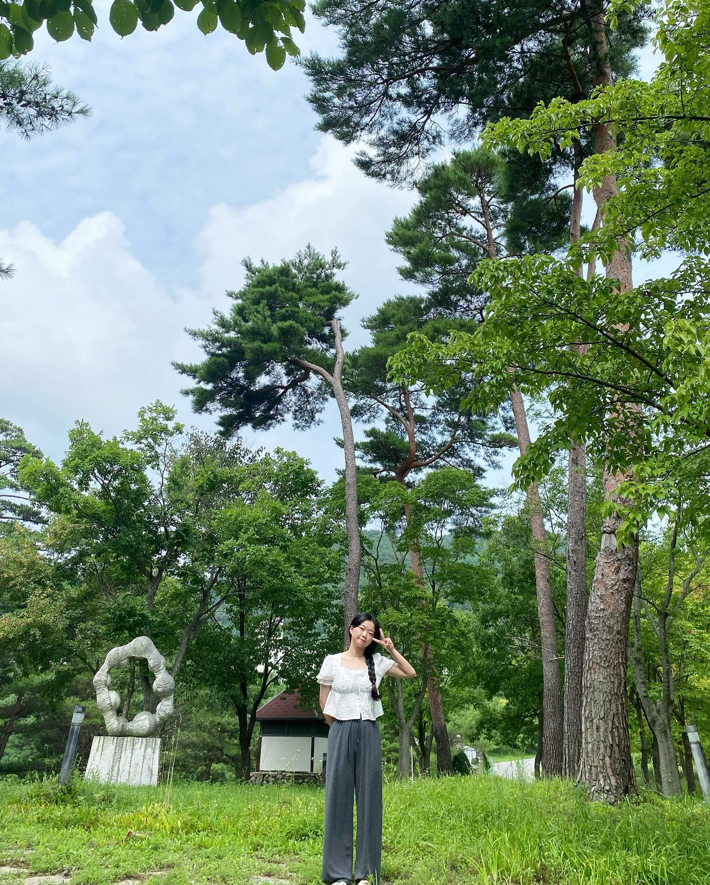 🌳💕