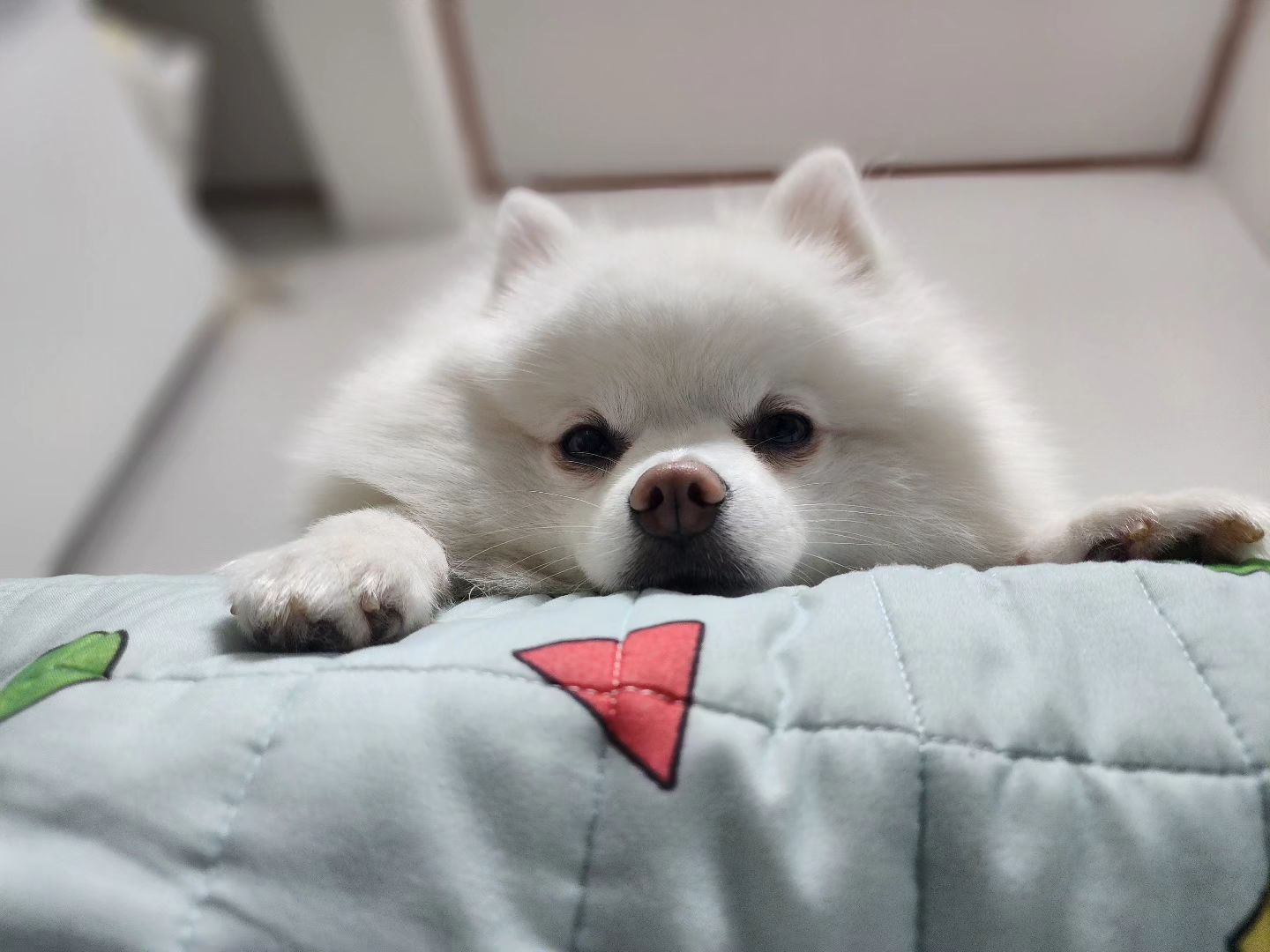 형아 일어나 나랑 놀쟈