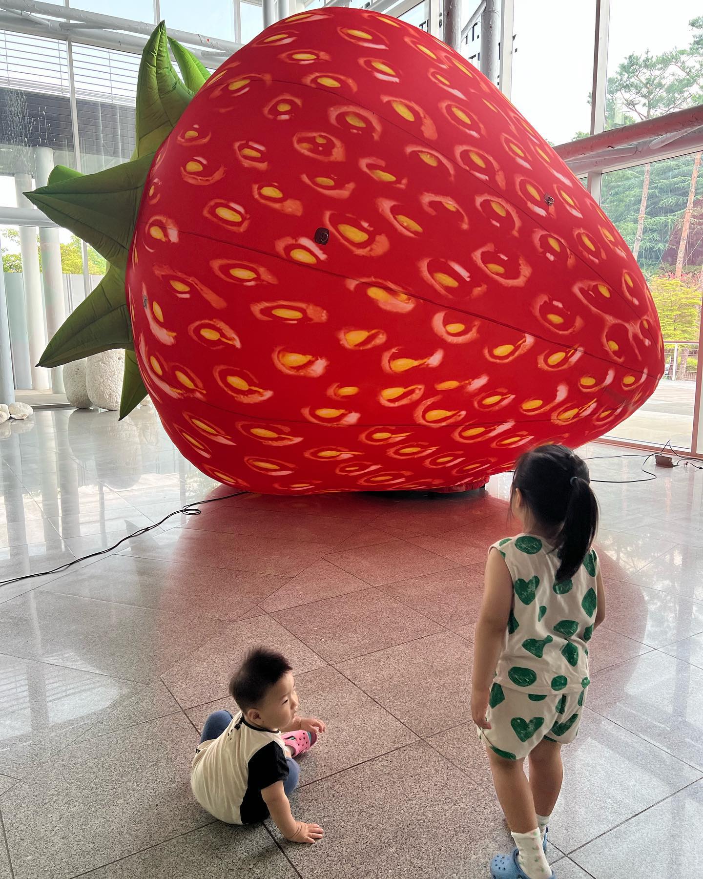 ✨광주시립미술관✨

다음전시 준비중인데 로비에 커다란 딸기, 무, 가지, 배추들이!ㅋㅋㅋㅋ
태유는 처음엔 무서운지 주저앉고 뒷걸음질 치고 누나를 부여잡더니ㅋㅋㅋ 
무잎이 이불같았는지 가서 드러눕고 배추는 안무서운지 와다다 달려감ㅋㅋㅋ
전시 오픈하면 꼭 보러가야징!

어린이 미술관 전시도 뽕뽑음!
태유도 여러번 와봐서 제집마냥 돌아다님ㅋㅋㅋ
곧 끝나는데 다음엔 전시기간이 좀 짧았으면...
1년동안 같은전시는 쫌 너무행ㅋㅋㅋㅋ