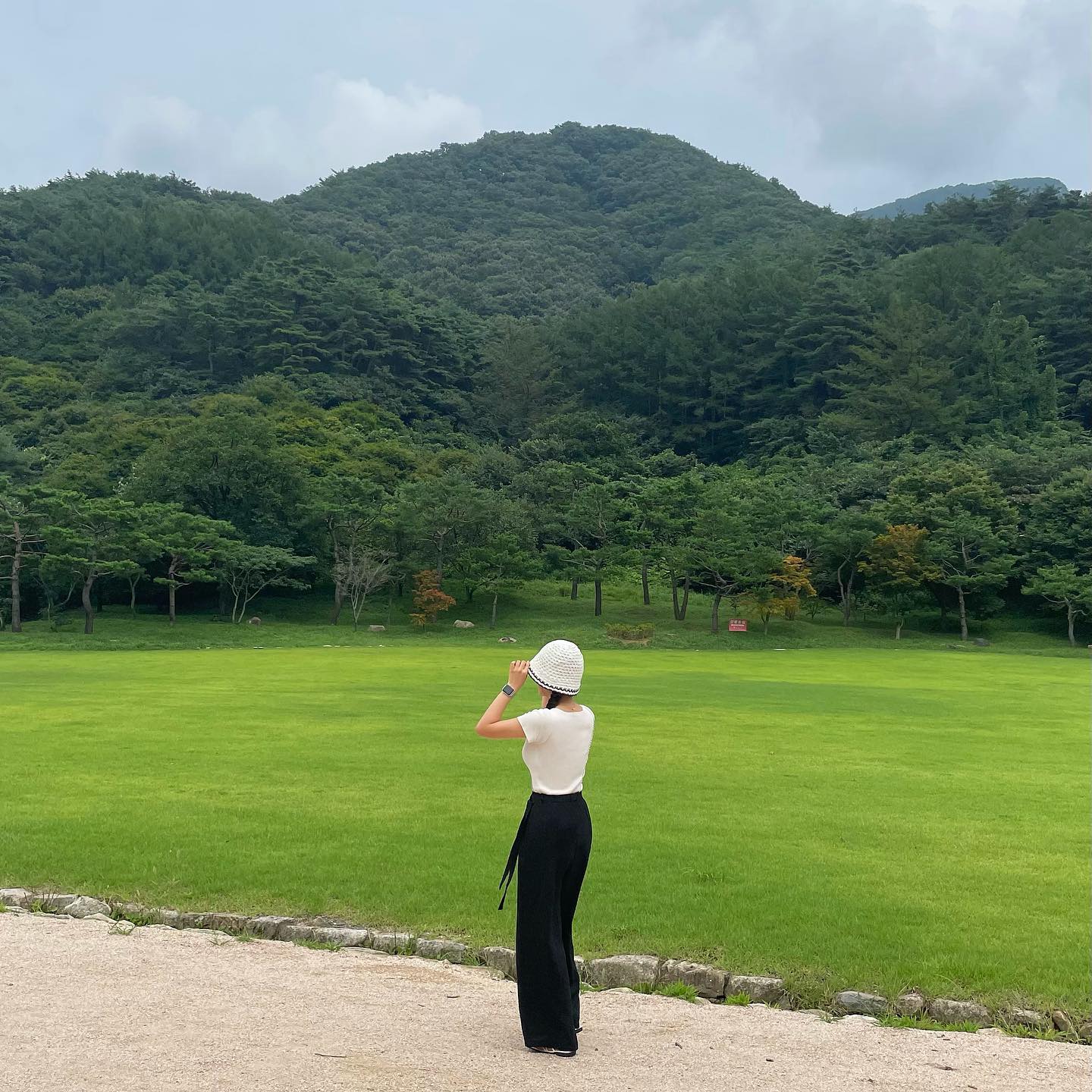 콘텐츠