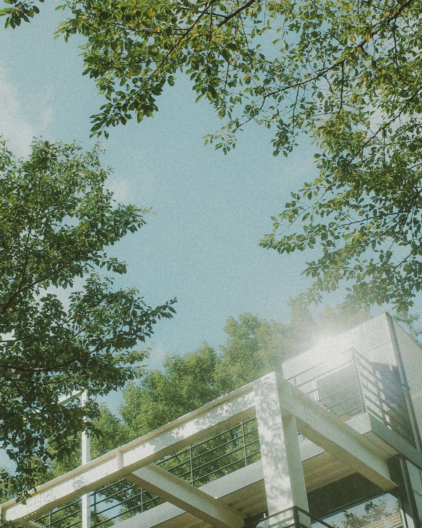 ⠀
⠀
대단한 녀석이 자라날 곳!
⠀
#ricohgrii #ricoh
⠀