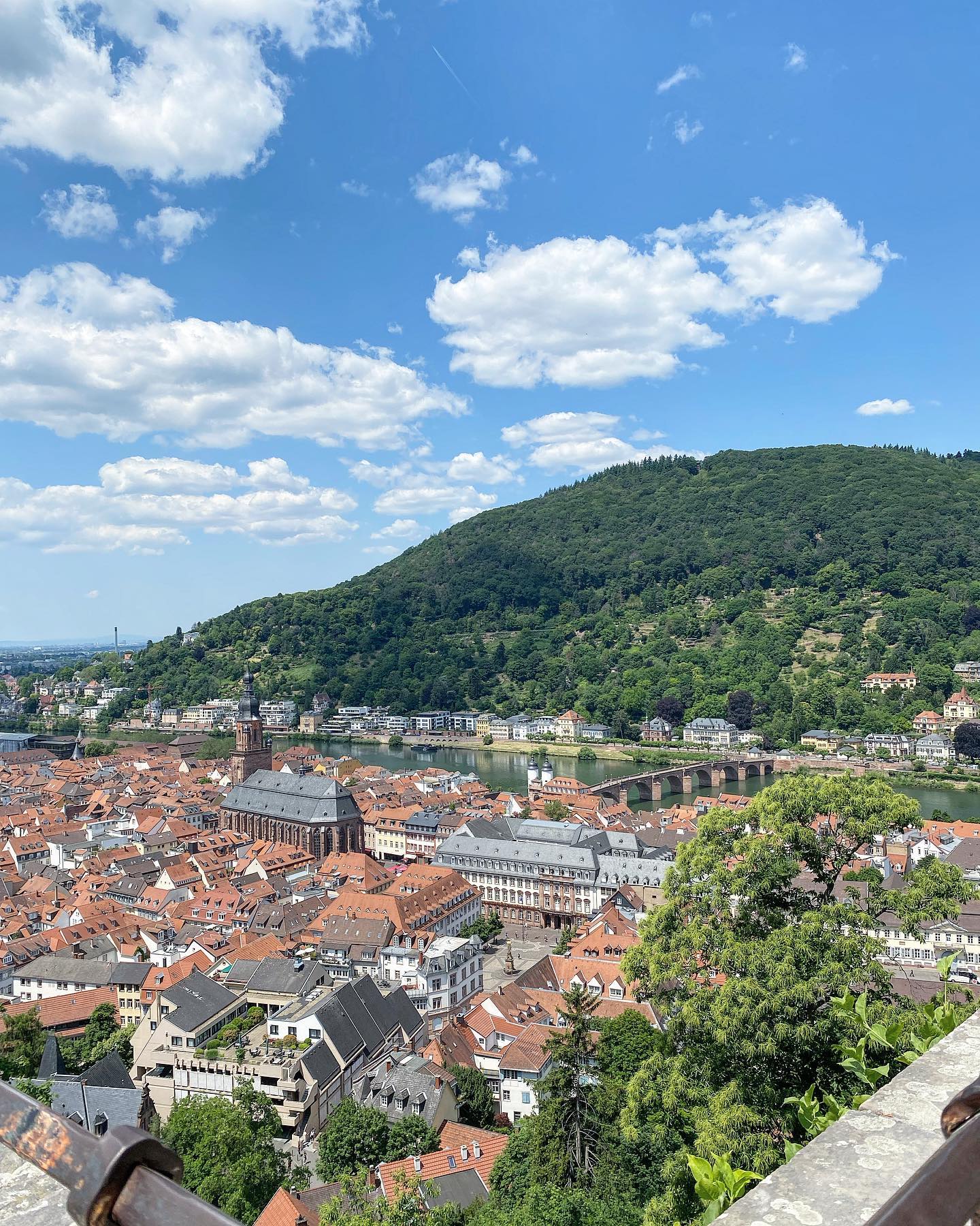 🇩🇪
#Germany #Heidelberg #德国 #旅游 #독일 #독일여행 #하이델베르크