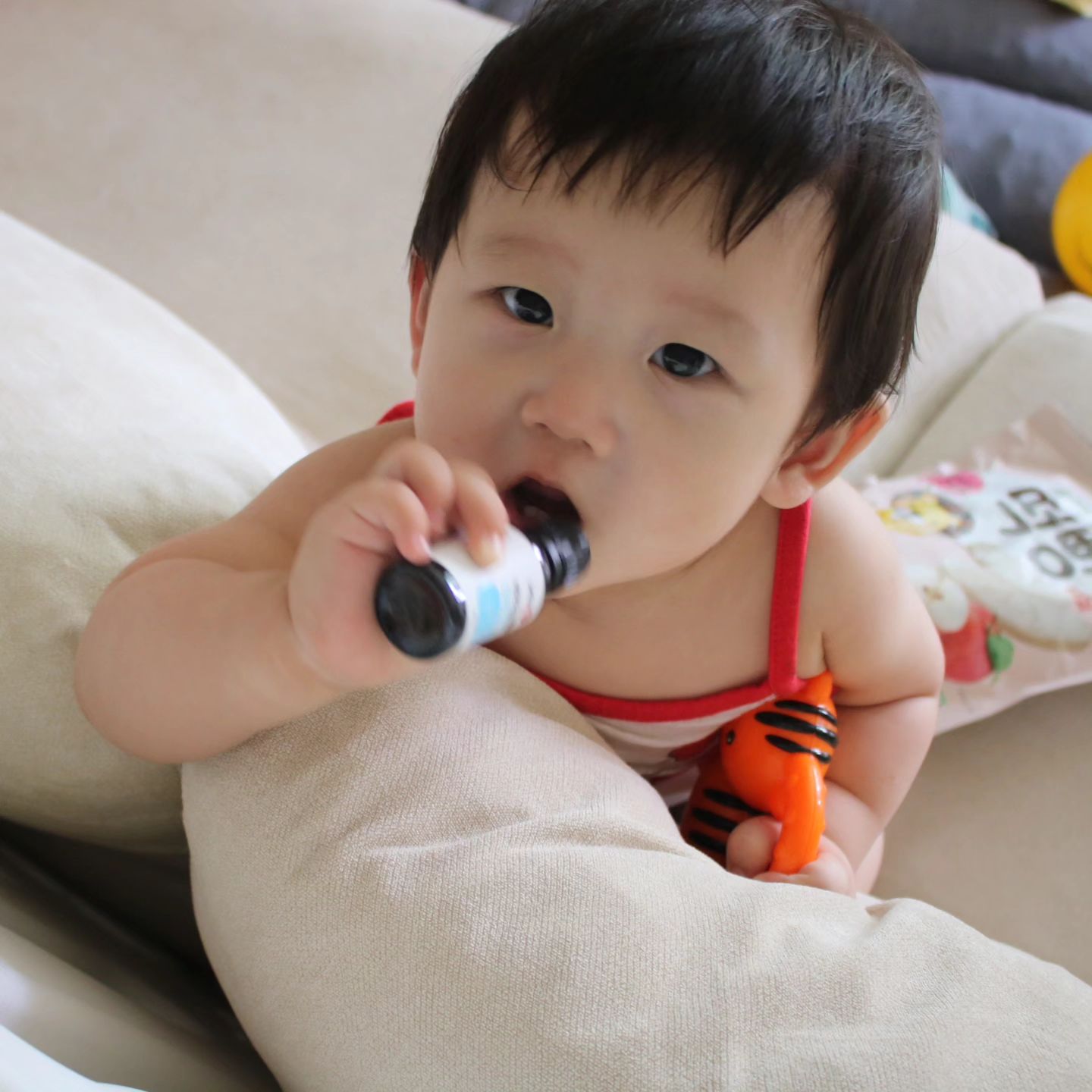#광고
.
.
매일 아침 눈뜨면 제일 먼저 하는일 
유산균챙겨주기
매일매일 금똥과 만나는 둘찌!❣️
.
.
락토핏 유산균에는 20억CFU의 유산균과
하루 권장량 10ug의 비타민D가 들어있어요!
20억 CFU에는 비피더스균 4종이 모두!😃
장내 정착성이 우수한 글로벌 프리미엄 균주
L.rhamnosus HN001를 사용해 만들어졌고
실제 유아대상 인체적응시험 결과에서 장내 유익균 증식을 확인했고 전세계적으로 200여편 이상의 연구 논물과 98건의 인체적용실험으로 검증받은 유산균이 들어있는 아기유산균 종근당건강 락토핏 솔루션
먹이기 전에 10초간 흔들어주고
병을 수직으로 세워 방울씩 떨어뜨리는 드롭형 타입으로
1일 1회 6방울이면 충분해요!👍

유산균은 신생아부터 쭉 꼭! 챙겨주면 좋아요😊
.
.
#락토핏솔루션#락토핏솔루션베이비드롭#베이비드롭
#아기유산균#액상유산균#드롭유산균#런칭키트
#락토핏런칭키트 #아기똥컬러칩#락토핏 #종근당건강 
#육아대란템 #육아필수템 #육아대세템

​