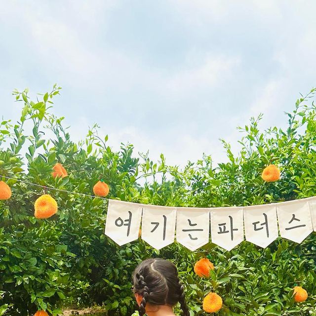 늘 지금처럼, 신혼부부💓 on Instagram: "#협찬 ⠀ * 제주 파더스가든 * ⠀ 가족들, 연인들, 친구들과 행복한 추억을 만들 수 있는 관광지 파더스가든을 다녀왔어요💛 ⠀ 예쁜 포토존들과 천국