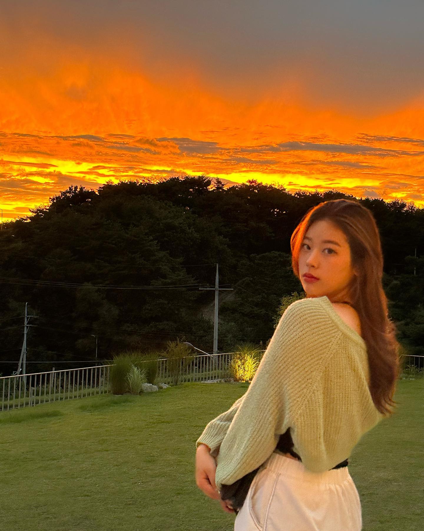 콘텐츠
