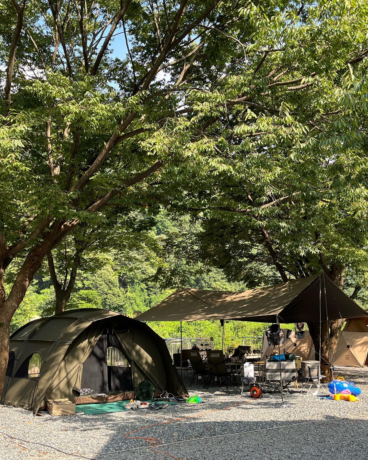 2박3일휴가🏕️ 
집에오니 아쉽네🥲
#월악오토캠핑장#캠핑퍼스트 #퍼스트타프 #타프 #타프추천 #블랙코팅타프 #캠핑퍼스트타프 #캠핑 #캠핑장비 #초캠몰