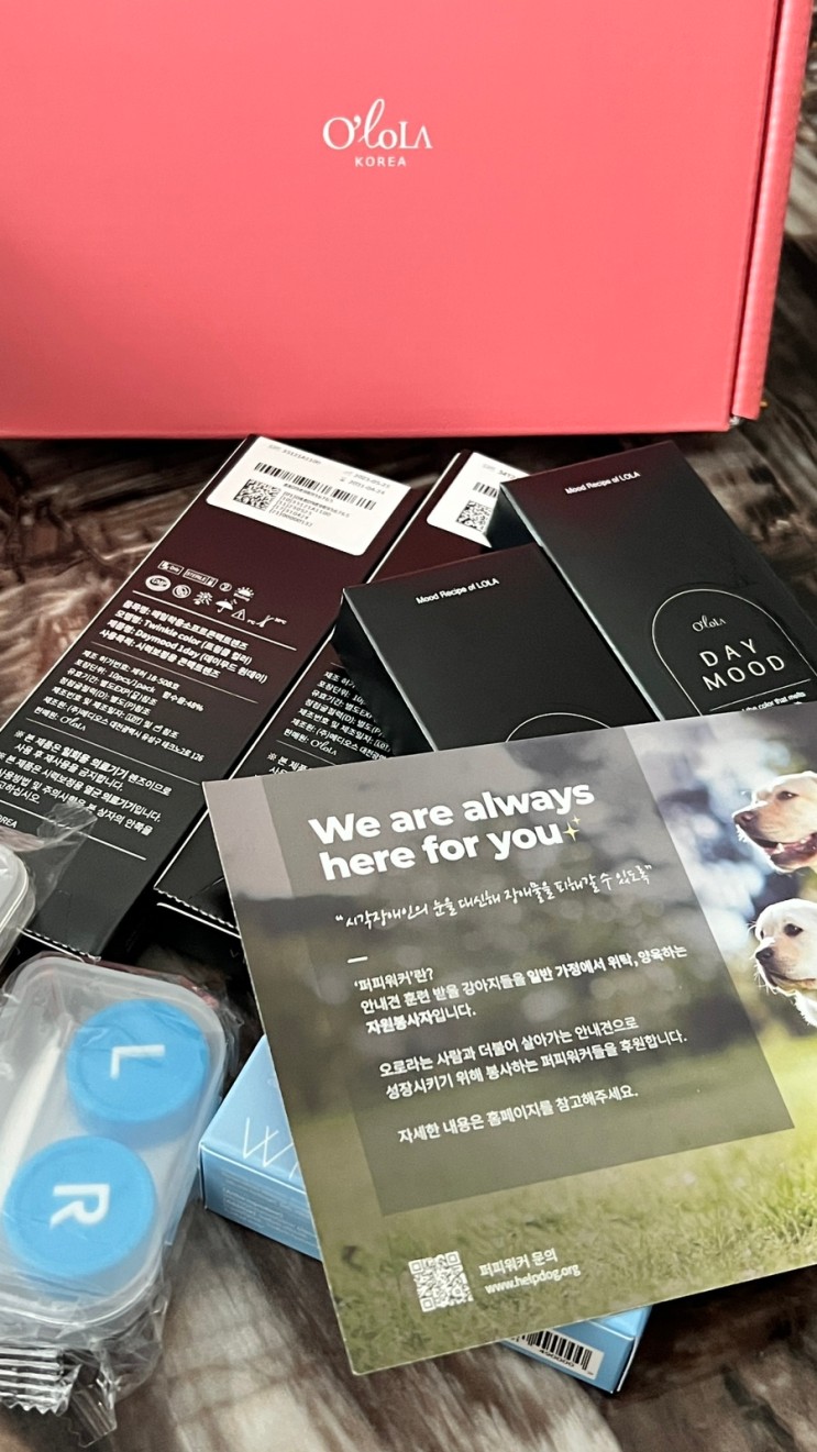 데일리로 끼기 좋은 오로라렌즈 데이무드 원데이 2종 그레이 브라운렌즈