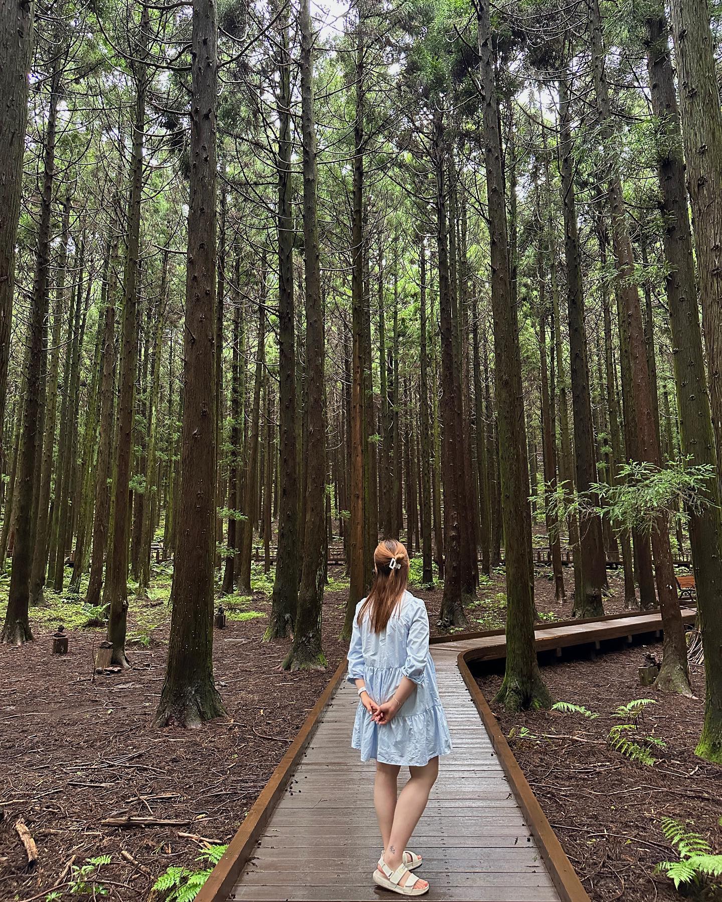 230708
7월 히또제🍊

비 와서 물놀이는 못했지만…
날이 습해서 쪼옴 찝찝했지만
그래두 즐거웠던 엄빠와의 1박 2일ღ

마지막 사진은 나 혼자 제주에 남겨놓고 가서 
잔소리 한가득인 우리 집 사랑들…😚💙

#제주 #jeju #instagood