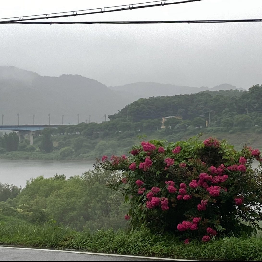 콘텐츠
