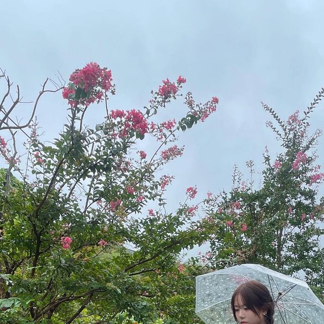 반지 on Instagram: "스탠다드에러반팔티🌿☔️ . . . . . . . . . . . IRT162 [컴팩트얀] 엔자임 워싱 스탠다드에러 스포티1988 레터링 반팔티 #광고 #스탠다드에러 #스탠다드에러반팔티 # 남여공용반