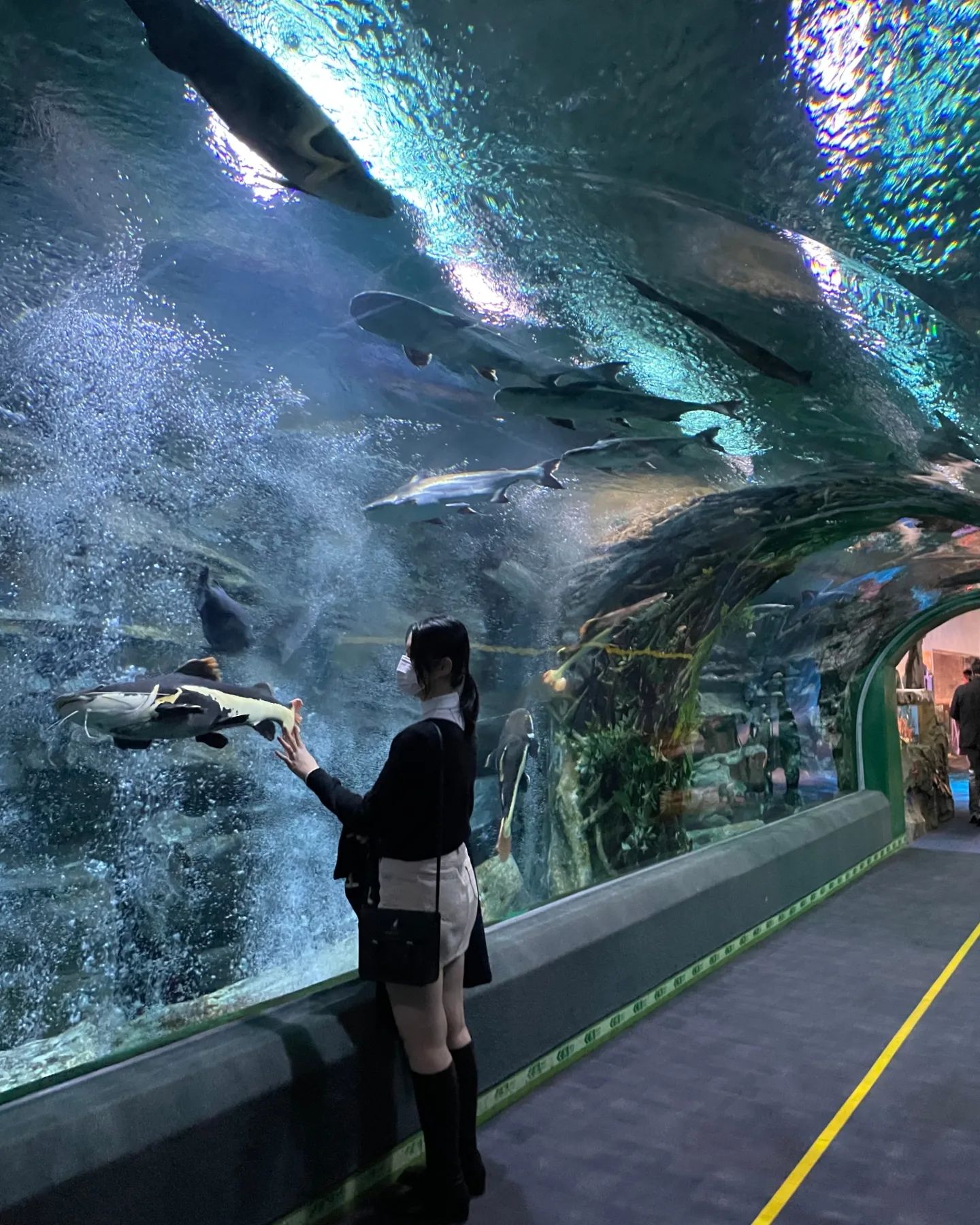 흠냠냐
🐳🐋🐬🦭🐟🐠🐡🦈
