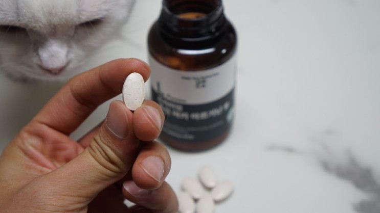 좋은건 여기 한 번에 다 때려 넣었다! 이루다 프리미엄 류신 블랙마카 아르기닌