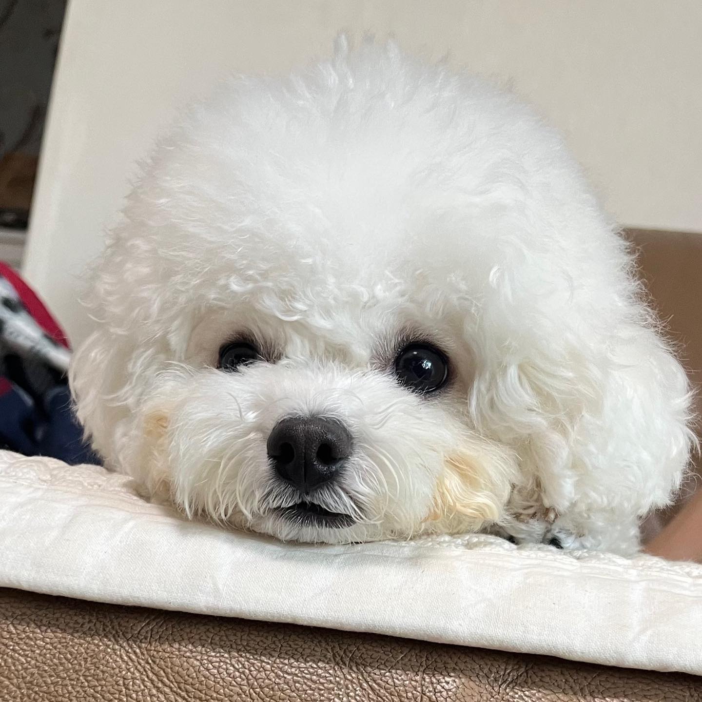 무념무상