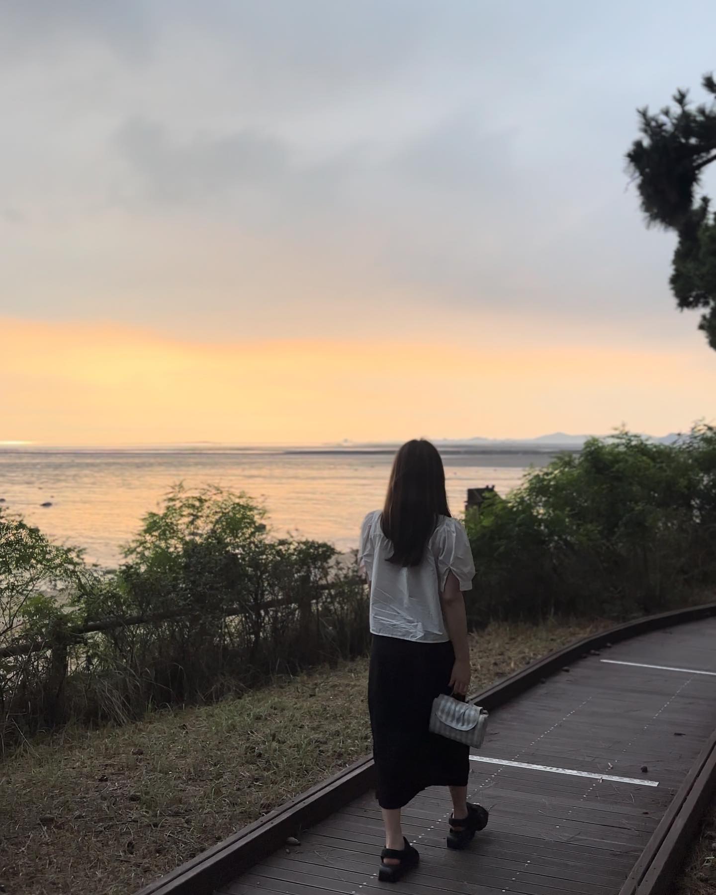 노을쵝오