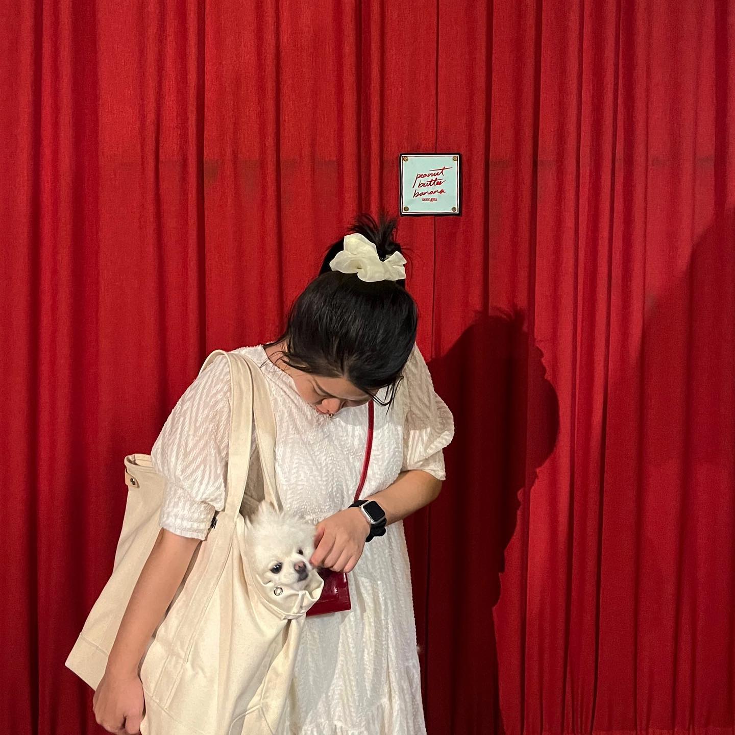 #친구네시댁강아지임보 (?) 📸✨
.
.
선풍기를 좋아하던 지아랑 같이 출근하구 밥먹구 산책하구 놀구… 우리들의 행복했던 시간… 🥺✨🫶🏻 
유빈아 다시 가족여행가주면 안될까?