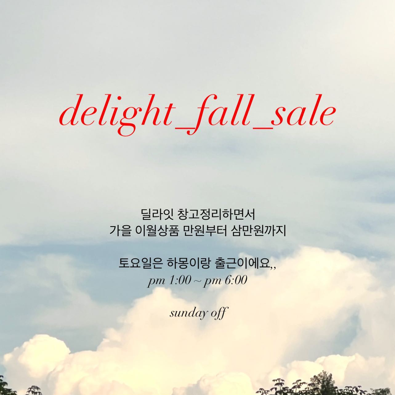 #세일 #딜라잇_가을_세일 #delight_fall_sale