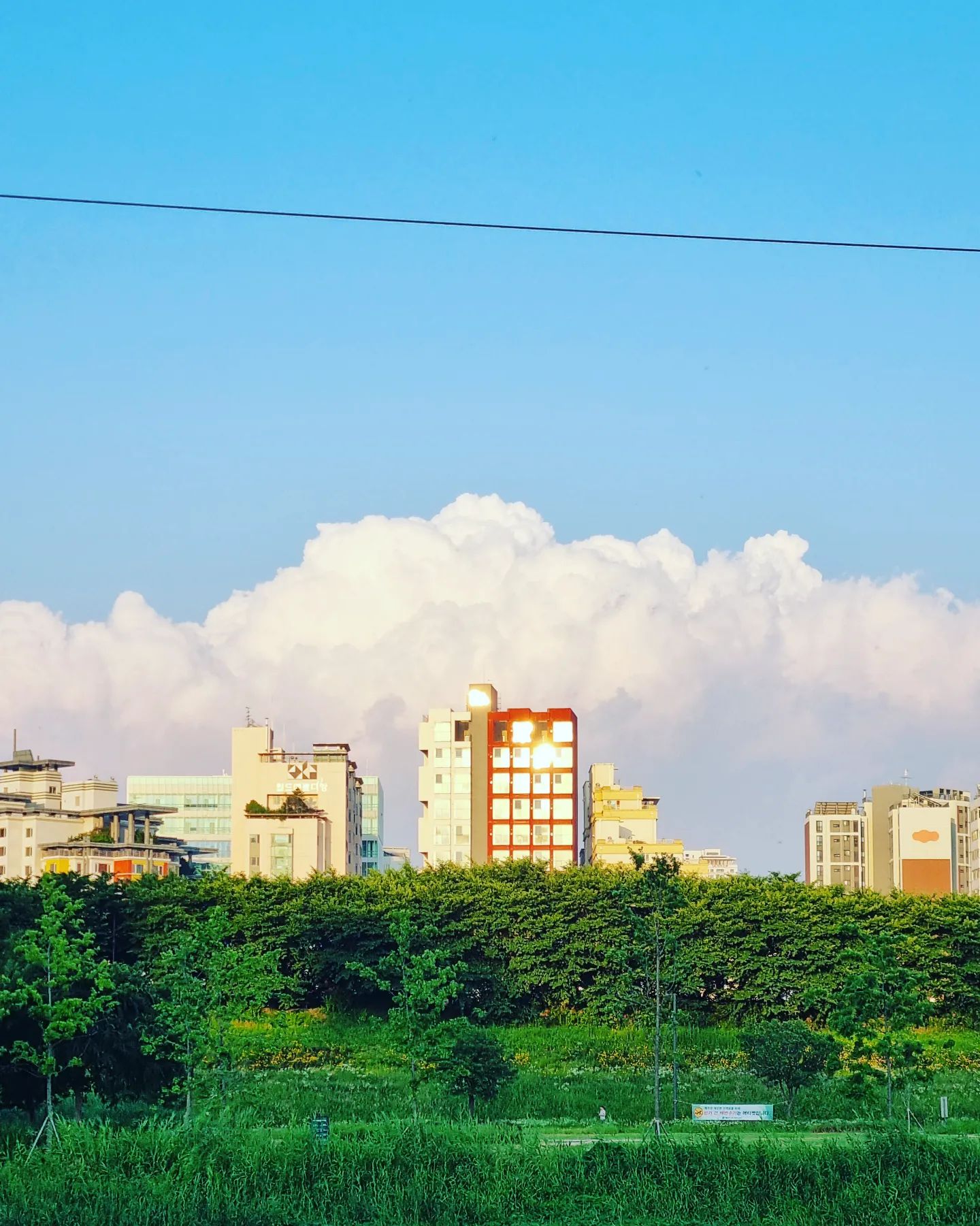 라퓨타
.
.
.
Galaxy s21
#photo #photogram #photooftheday #photography #photographers #photograph #photoshoot #photoshop #building #buildingphoto #cloud #cloudphotography