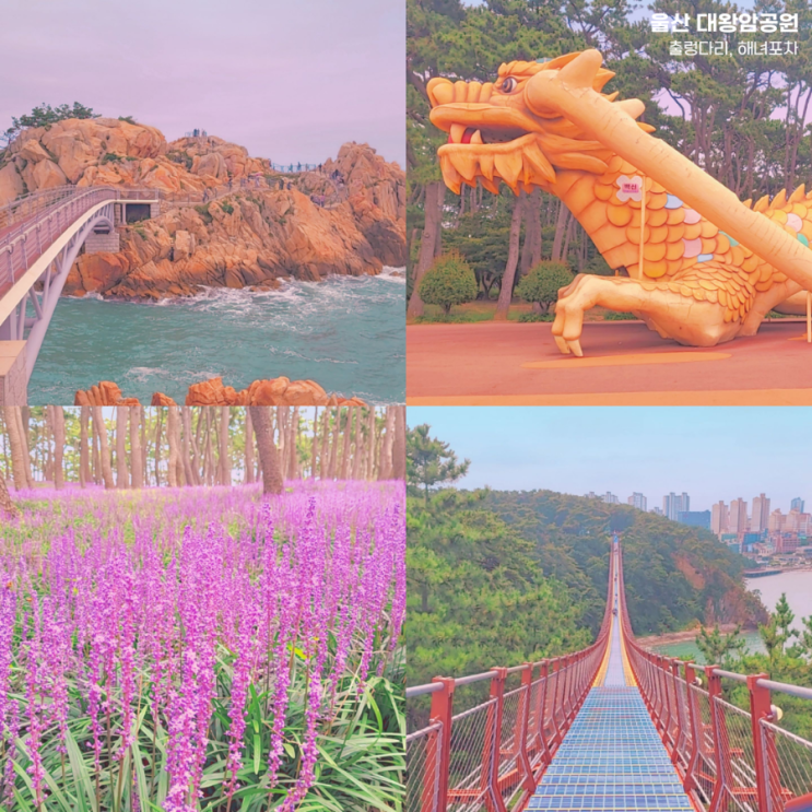 울산 대왕암공원 출렁다리 입장료 무료, 대왕암 해녀포차 위치