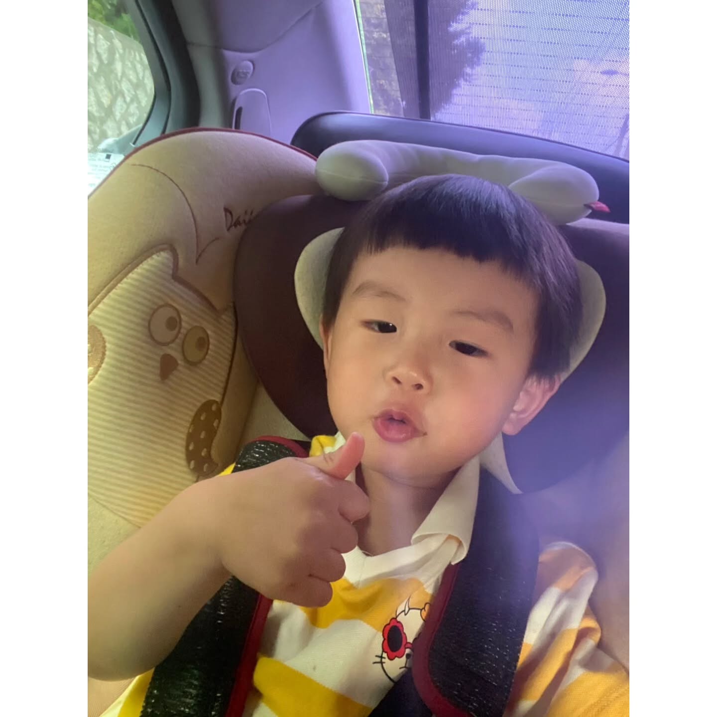 아...방전됐다...
울끄꾸는 뛰고 또 뛰고...고모말따위는 안들릴뿐이고 ^^;;
그저 맑음,밝음 ㅋㅋㅋ 
#쥬라리움파주점 누가 좋다고 그랬냐?ㅡㅡ;
애가 뭐라도 보긴 했으니 욕은 안하겠는데 아오!
돈을 길에 버리고온듯...
#헤이리#프로방스#방전#다크써클 턱까지 내려옴
#강경불고기 여기 또 누가 맛집이랬냐?
#블로거들 후기는 솔직히 써야되는거 아님?

암튼 오후 네시가 넘어 낮잠을 자기 시작한 너는...
대체 밤엔 몇시에 자려고 이럴까나?
깨워야겠음ㅋㅋㅋ
