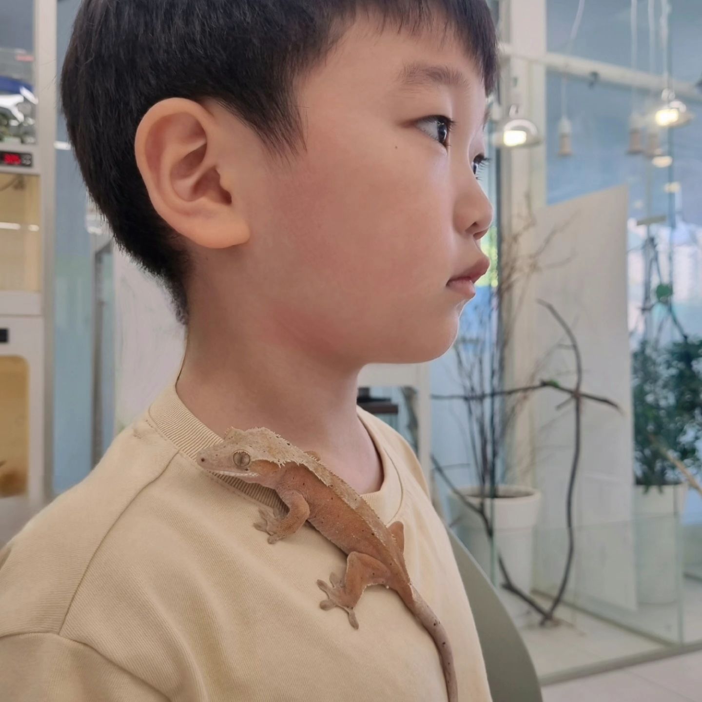 🦎🦎🦎🦎

친절한 사장님의 상세설명에 따라
만져도보고 파충류 지식도 쌓을수있는
#카메리네

파주에서 서울 중랑구까지
먼거리 무색해지지않을 정도로
울 녀석들에게 알찬 시간이였다능:D
(맛난 커피는 덤)
.
.
.
.
.
#파충류카페 #어린이체험 #도마뱀카페
#카멜레온 #게코도마뱀 #비어드드래곤
#정아준씨 #아민이누나 #대단해정말
#아이와가볼만한곳
#주말일상 #avelygram
