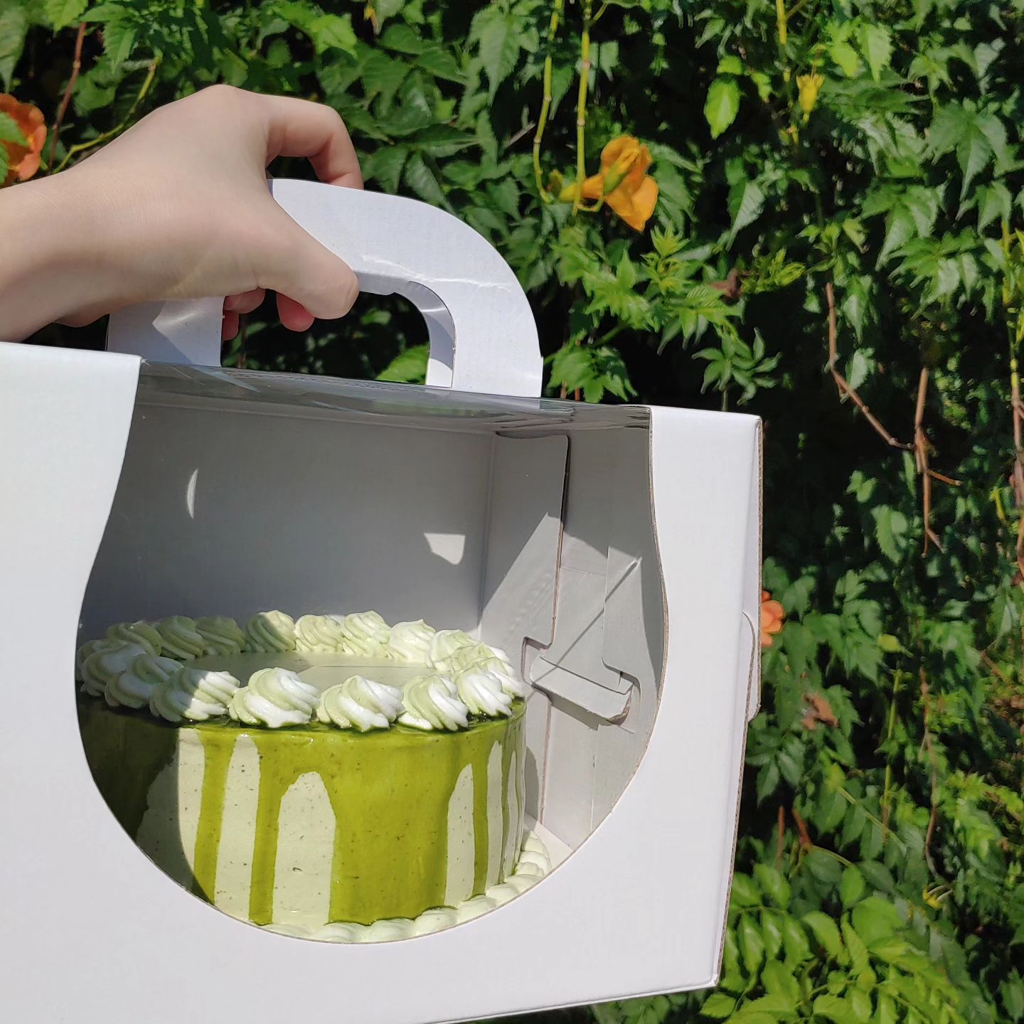 말차 케이크🌱(matcha cake)

어제 올렸는데 뭔가 자연광에서 찍었던 사진이 예뻐보여서 이것도 올리려구요 ㅎㅎ

우리집 마당의 능소화가 뭔가 사진 찍는 배경이 된 느낌이지만 꽃 지면 이제 못 찍으니깐요..

약간 하얀 배경에 자연광만 있는 사진도 예쁘고 자연의 초록초록한 배경도 예쁜거 같은데 둘 다 찍고 피드를 보면 약간 안 어울리는거 같기도 해서 걱정이에요ㅠ

이제 피드 자체를 꾸민다는건 힘든거 같아서.. 그냥 올리고 싶은거 찍고 싶은거 찍어서 올리려구요(사실 이미 그러고 있는 것 같지만요?!😁)
.
.
.
.
.
.
.
.
.
#말차케이크 #녹차케이크 #matcha #matchacake #greentea #greenteacake #cake #케이크 #굽스타그램 #베이킹스타그램 #노오븐베이킹 #noovencake #noovenbaking #에어프라이어베이킹 #airfryerbaking #케이크스타그램 #빵스타그램
