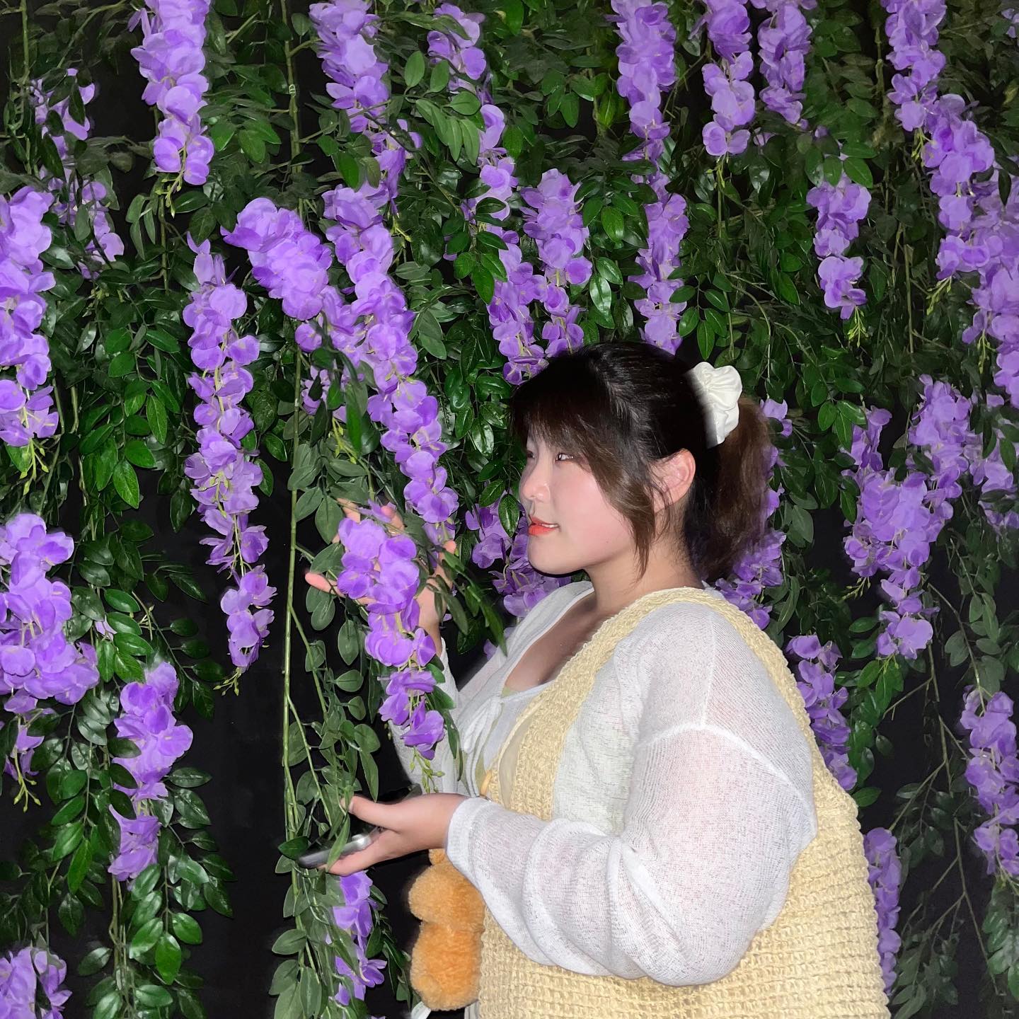 🪻📸🪻📸